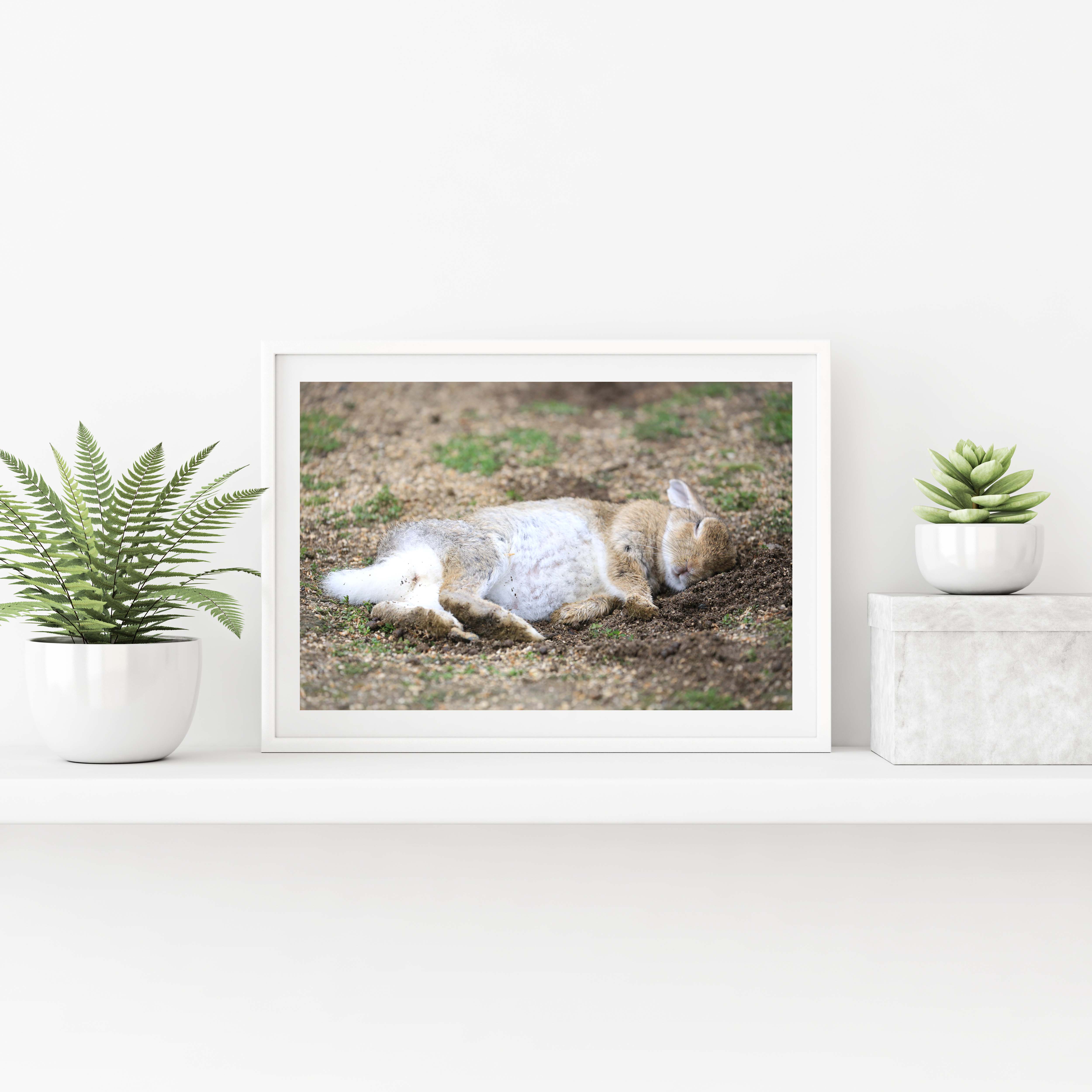 攝影藝術微噴原作 - 《甜夢》