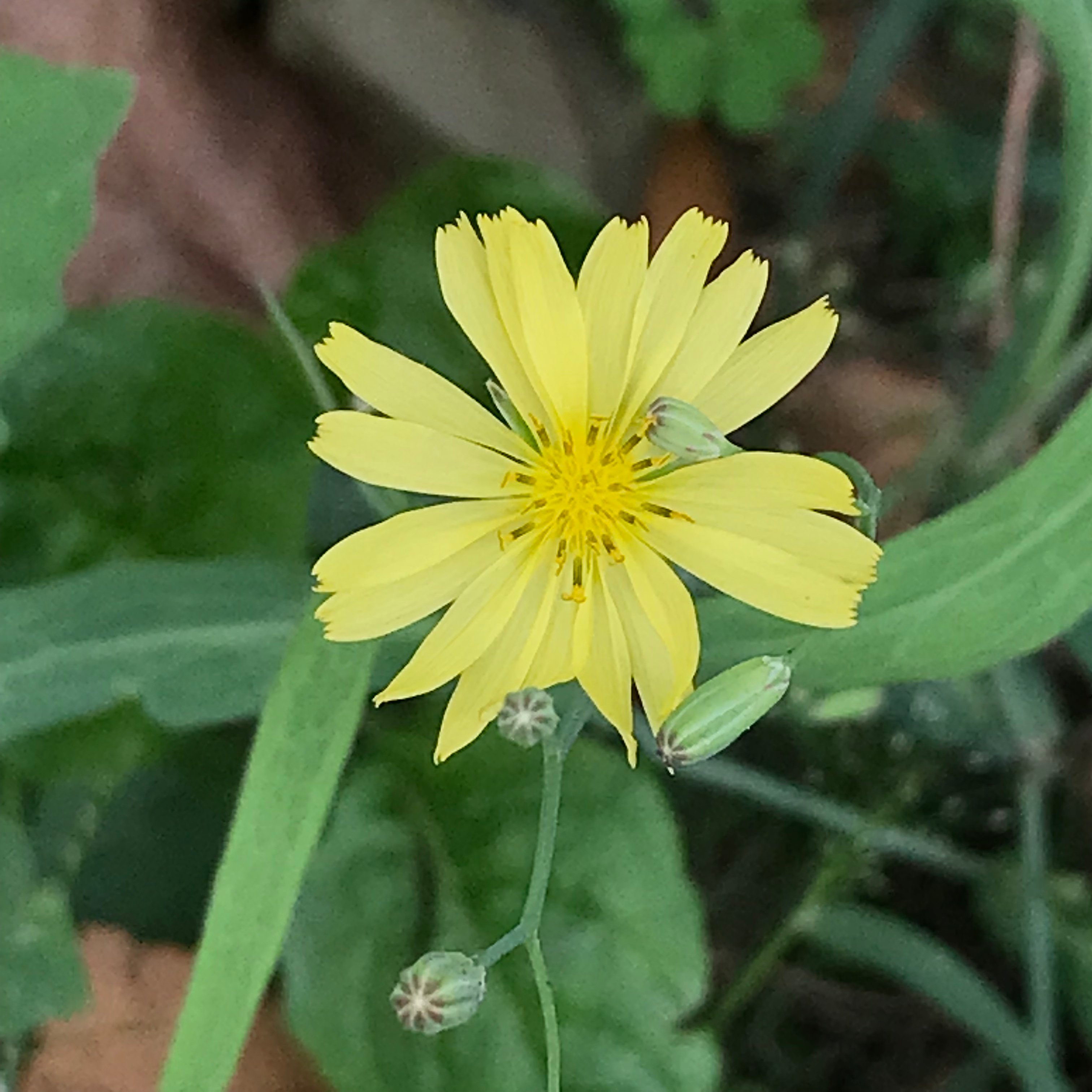 新上架 ❙  攝影藝術