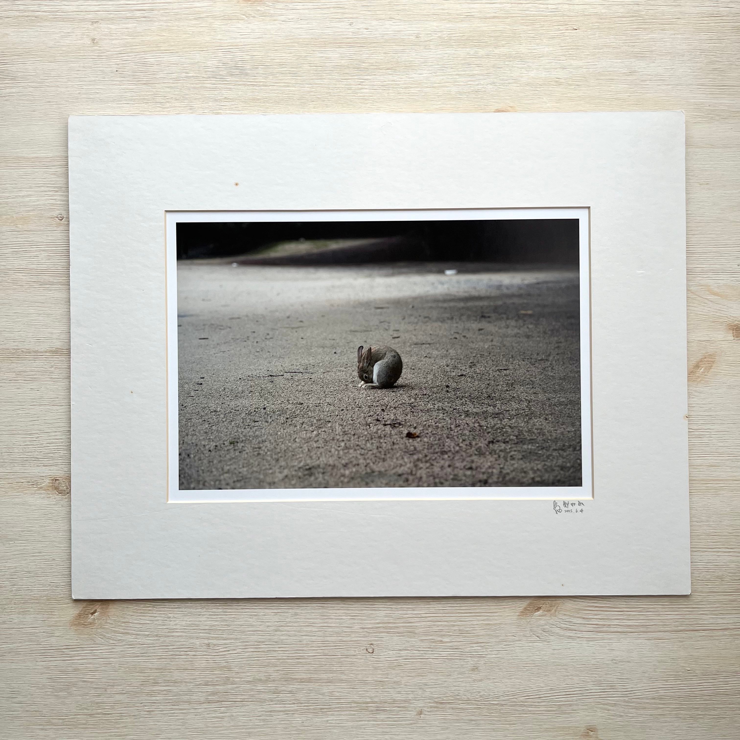 攝影藝術微噴福利品 - 04