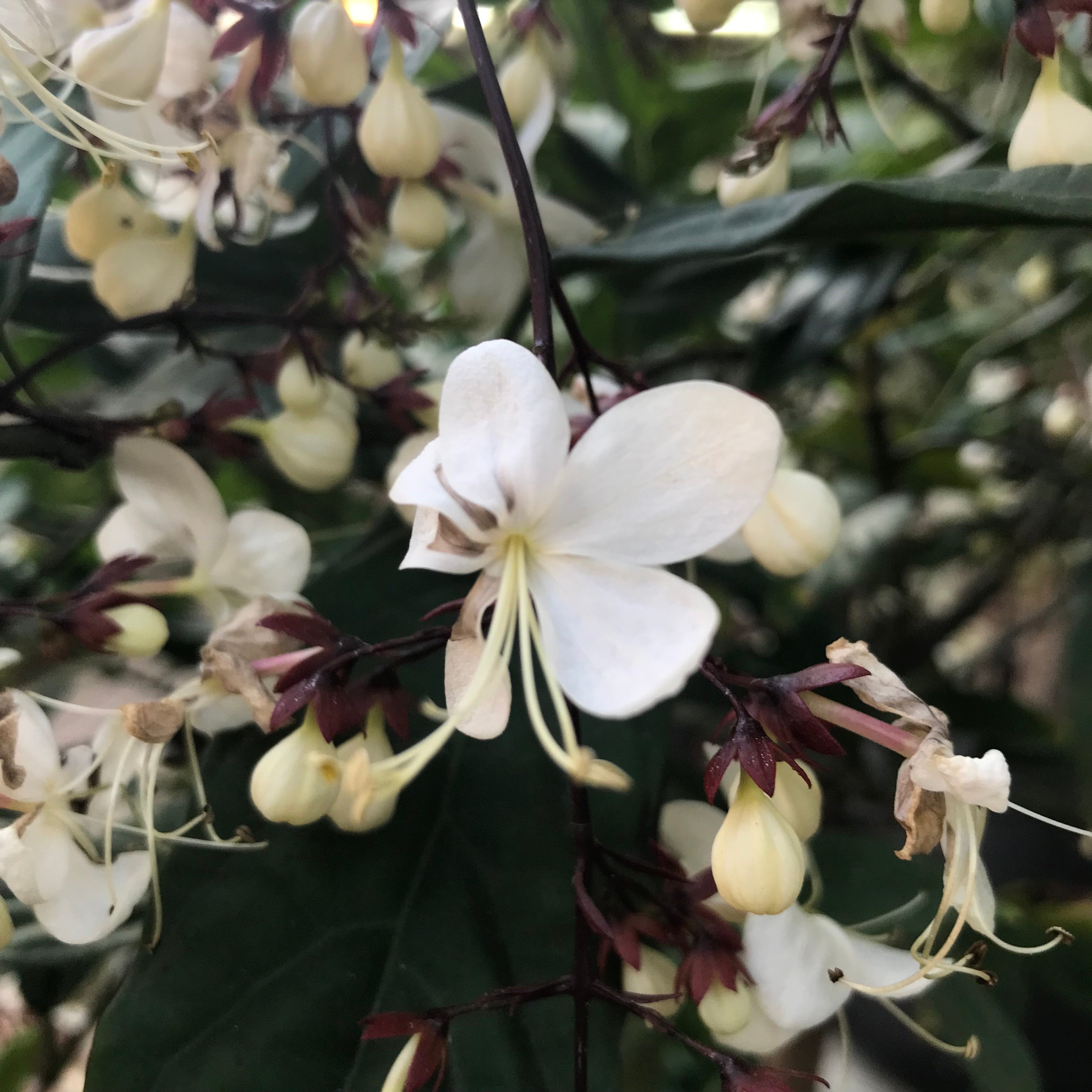 新上架 ❙  書籍