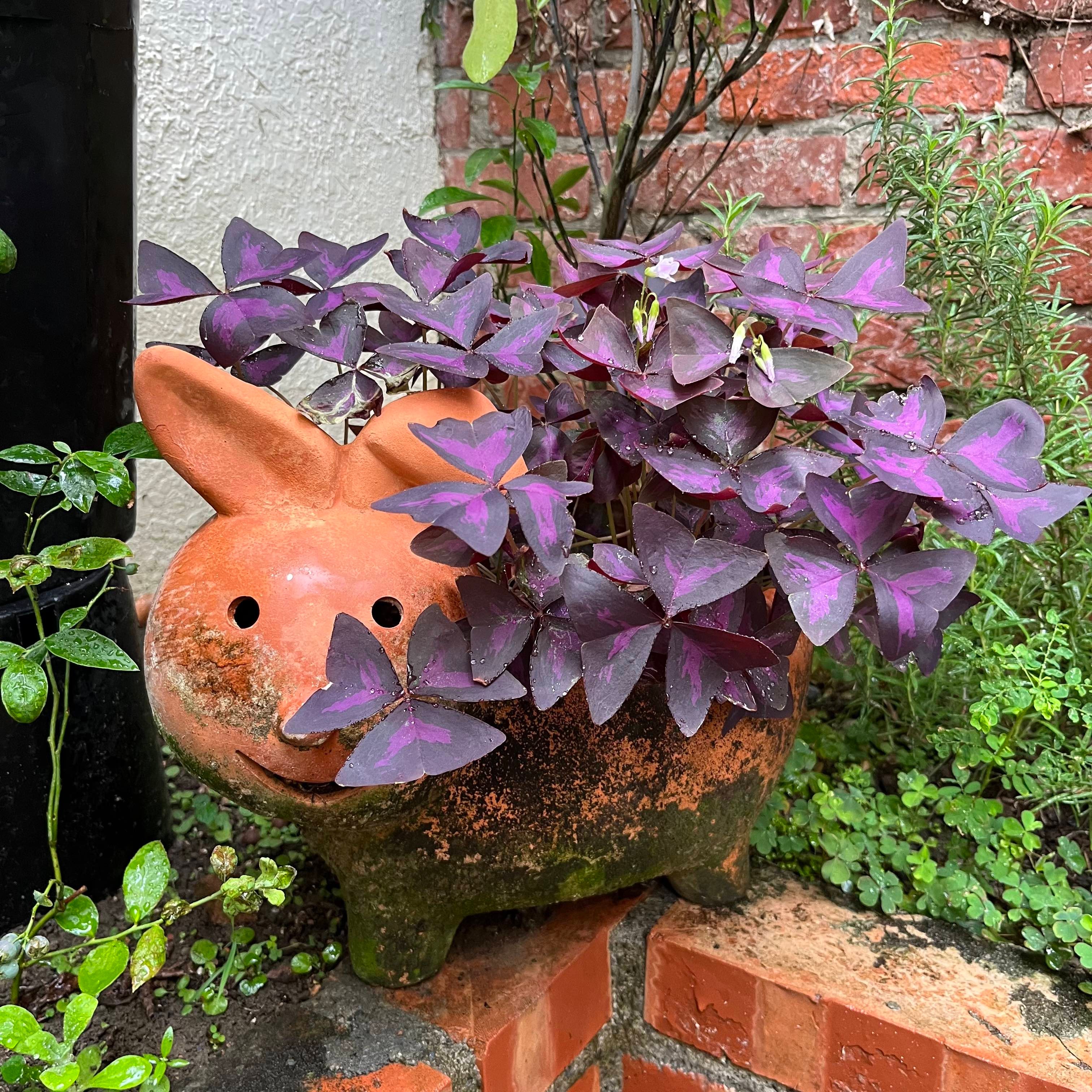 新上架 ❙ 二手書