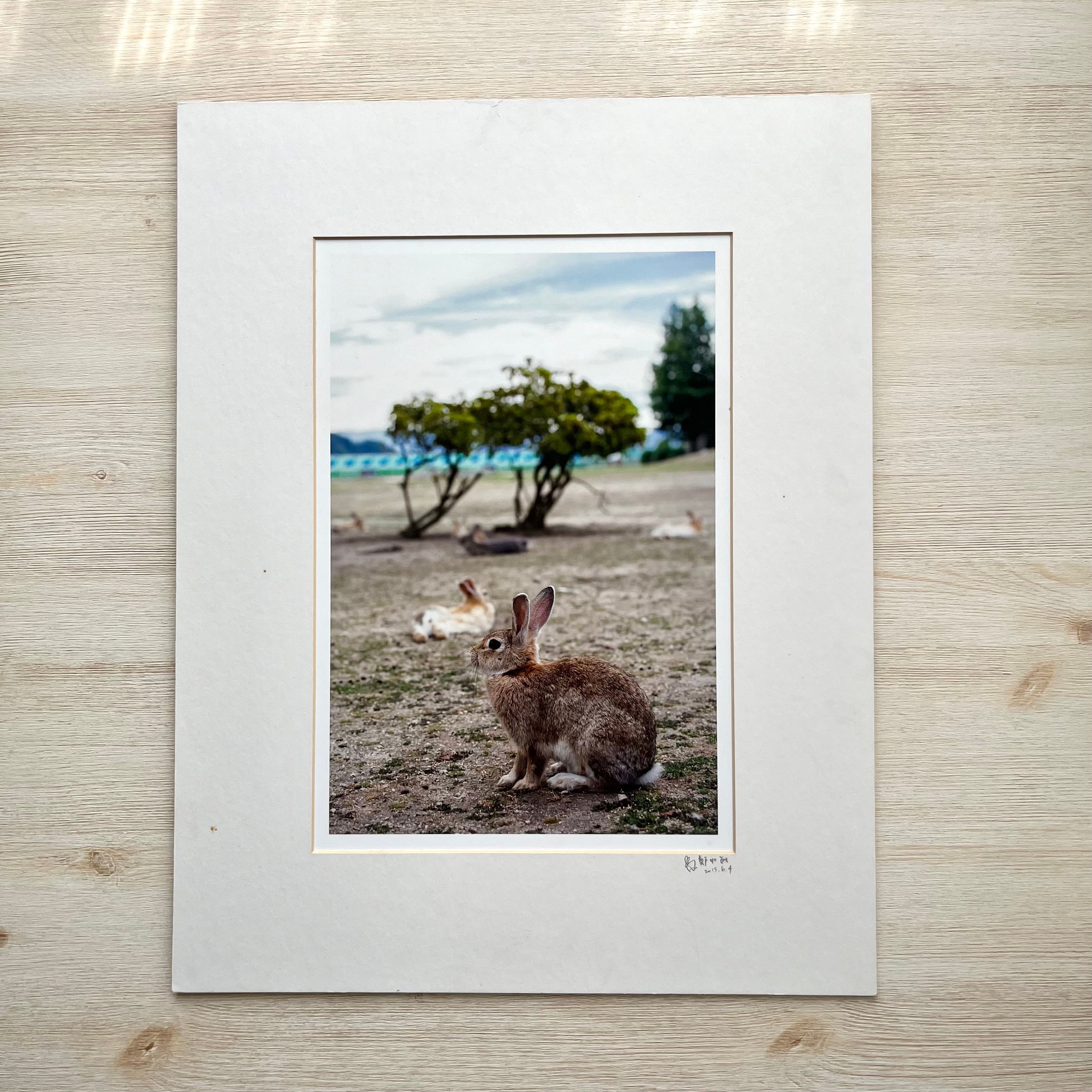 攝影藝術微噴福利品 - 10