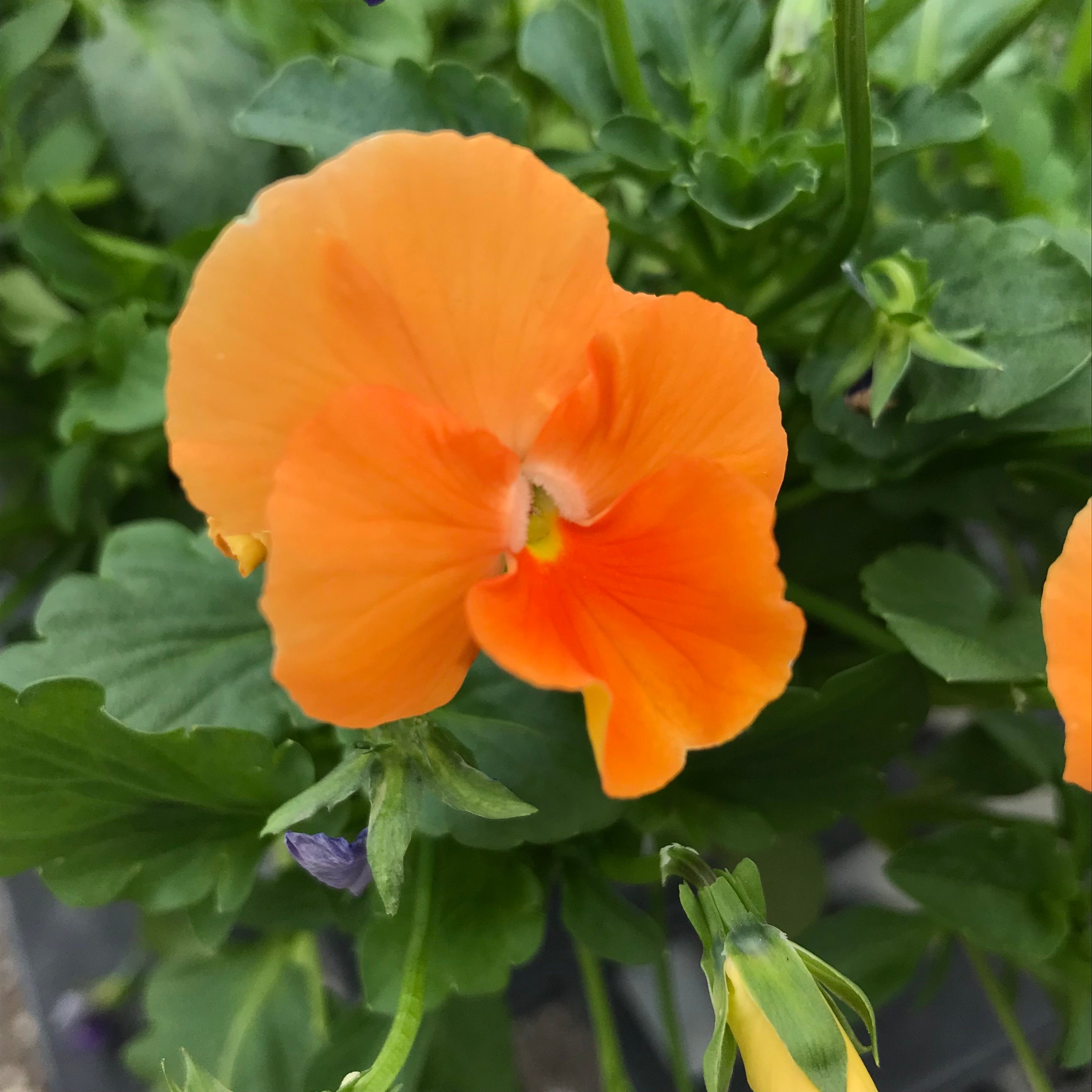 新上架 ❙  攝影藝術