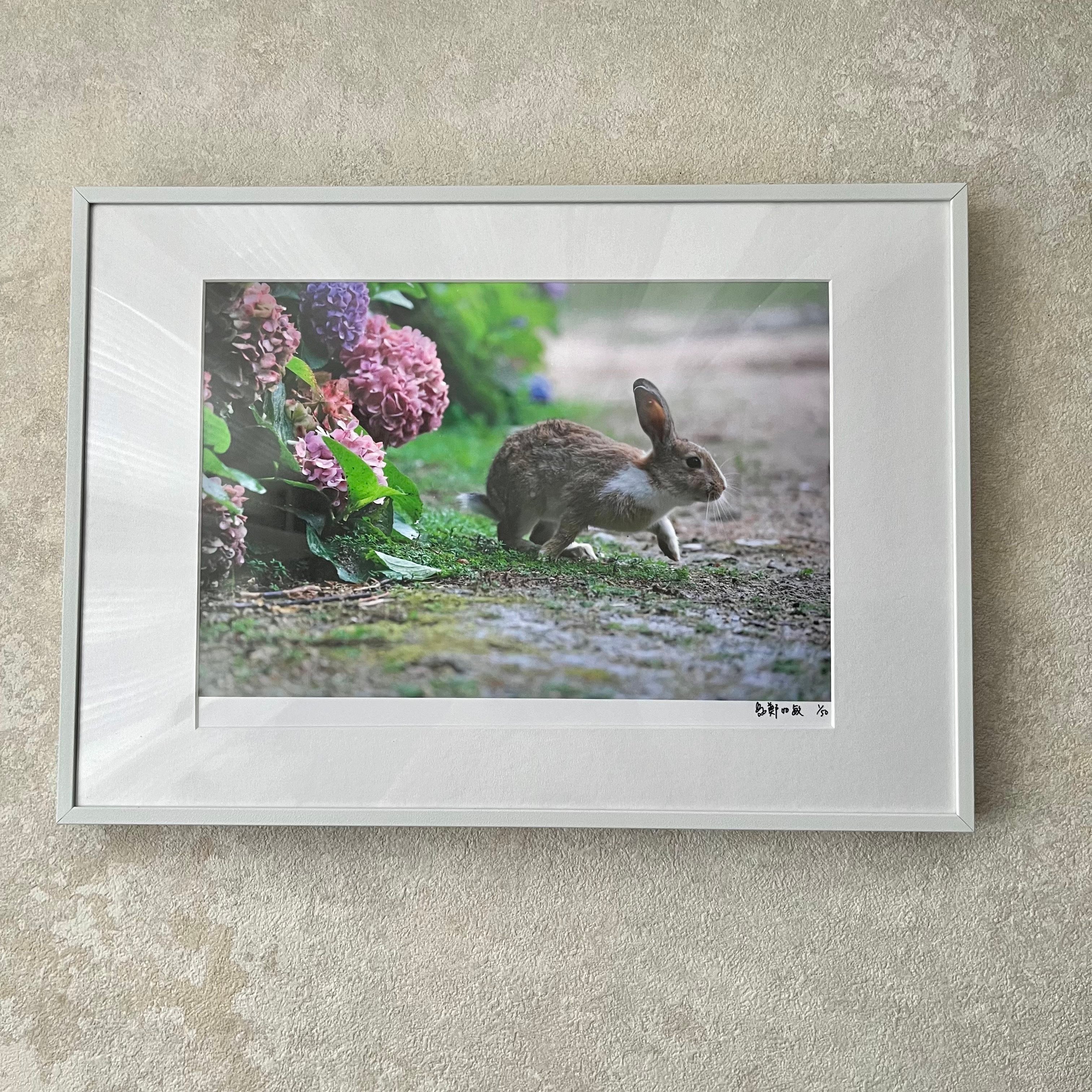 攝影藝術微噴原作 - 《起步》 1/50｜白色鋁框