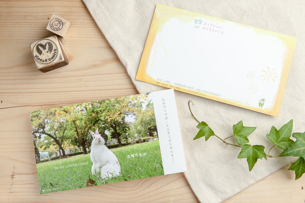 兔子攝影插畫明信片 - 《燦爛的喜悅》