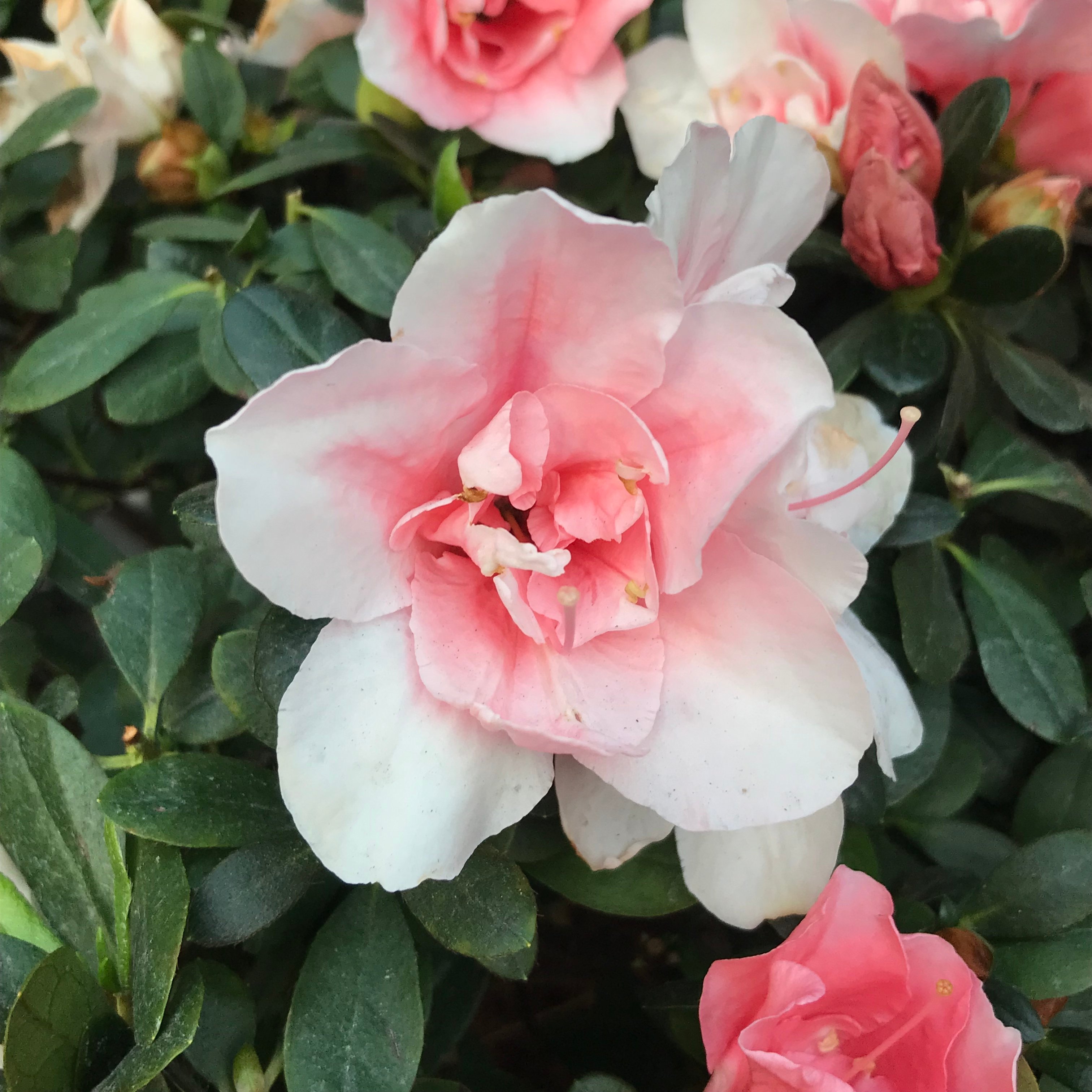 新上架 ❙  攝影藝術