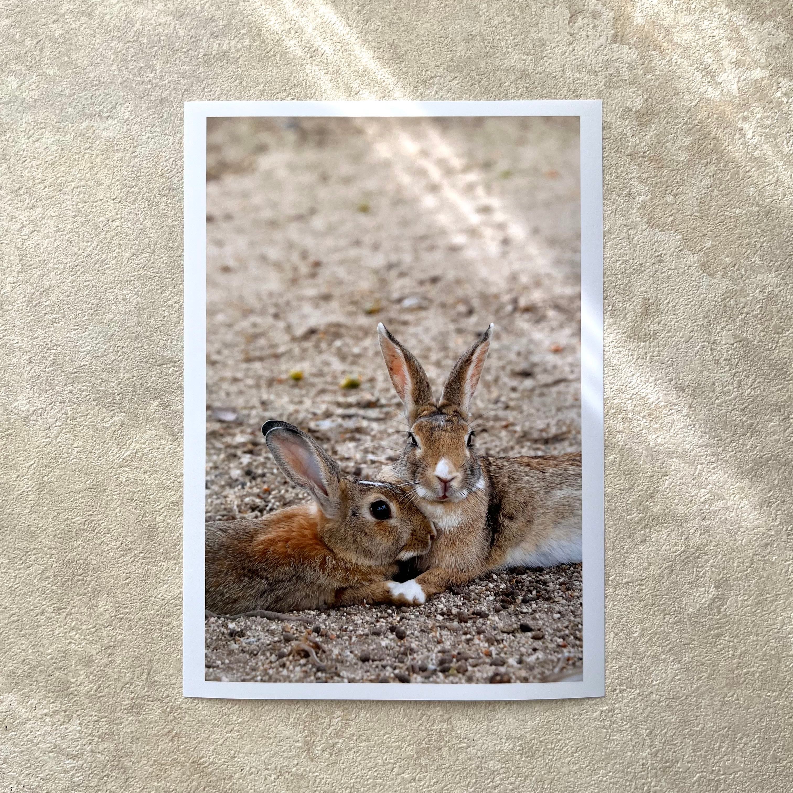 攝影藝術微噴原作 - 《守護》 5/50