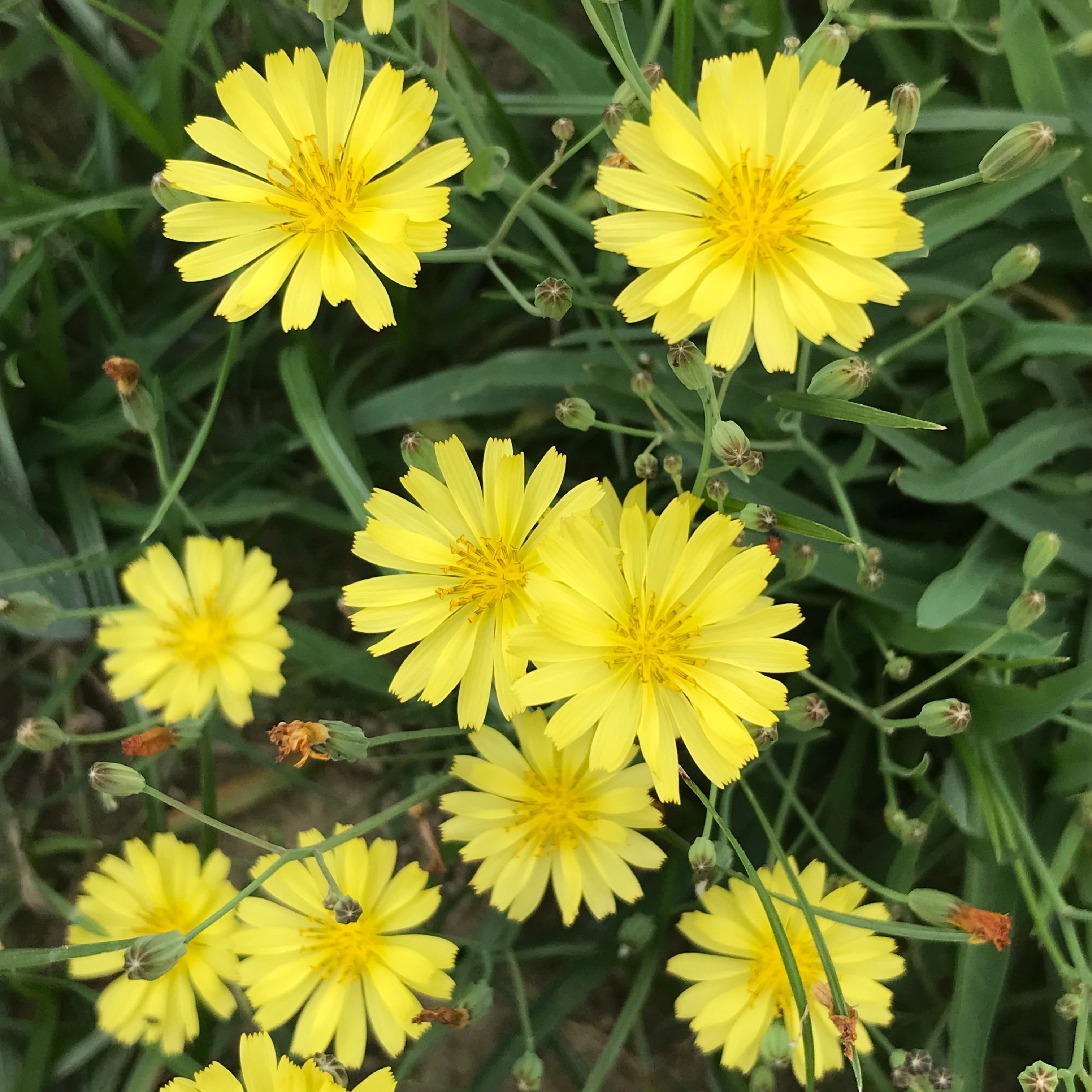 新上架 ❙  植栽設計