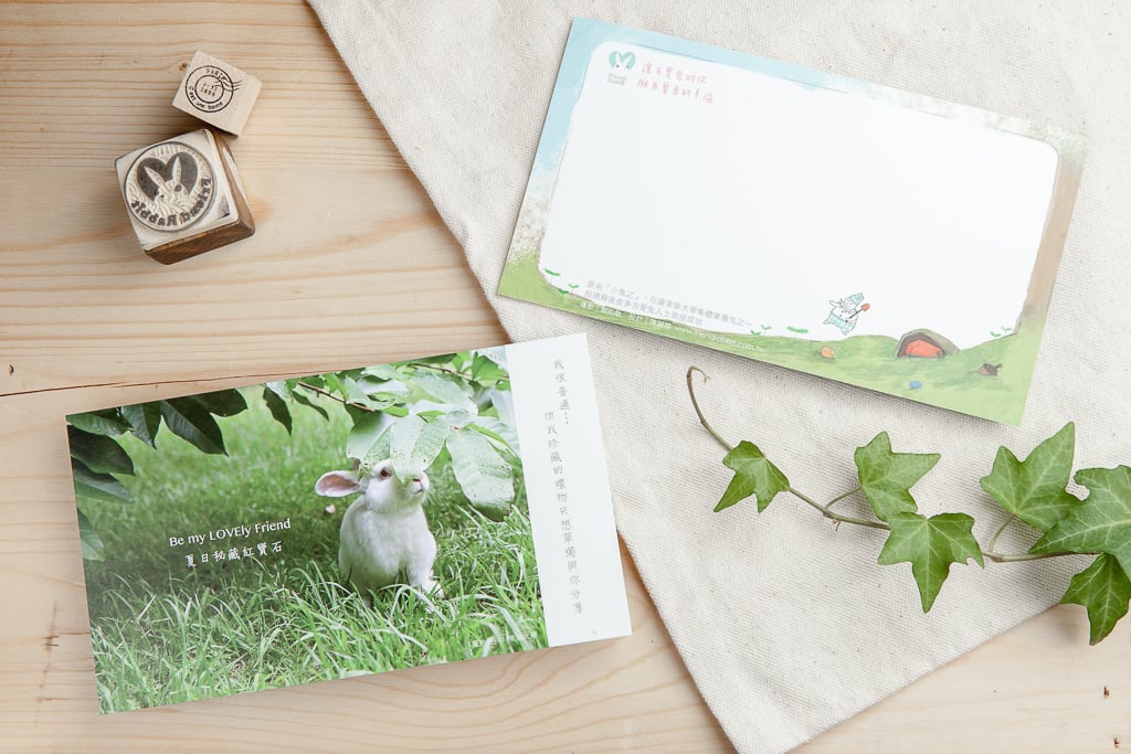 兔子攝影插畫明信片 - 《夏日秘藏紅寶石》