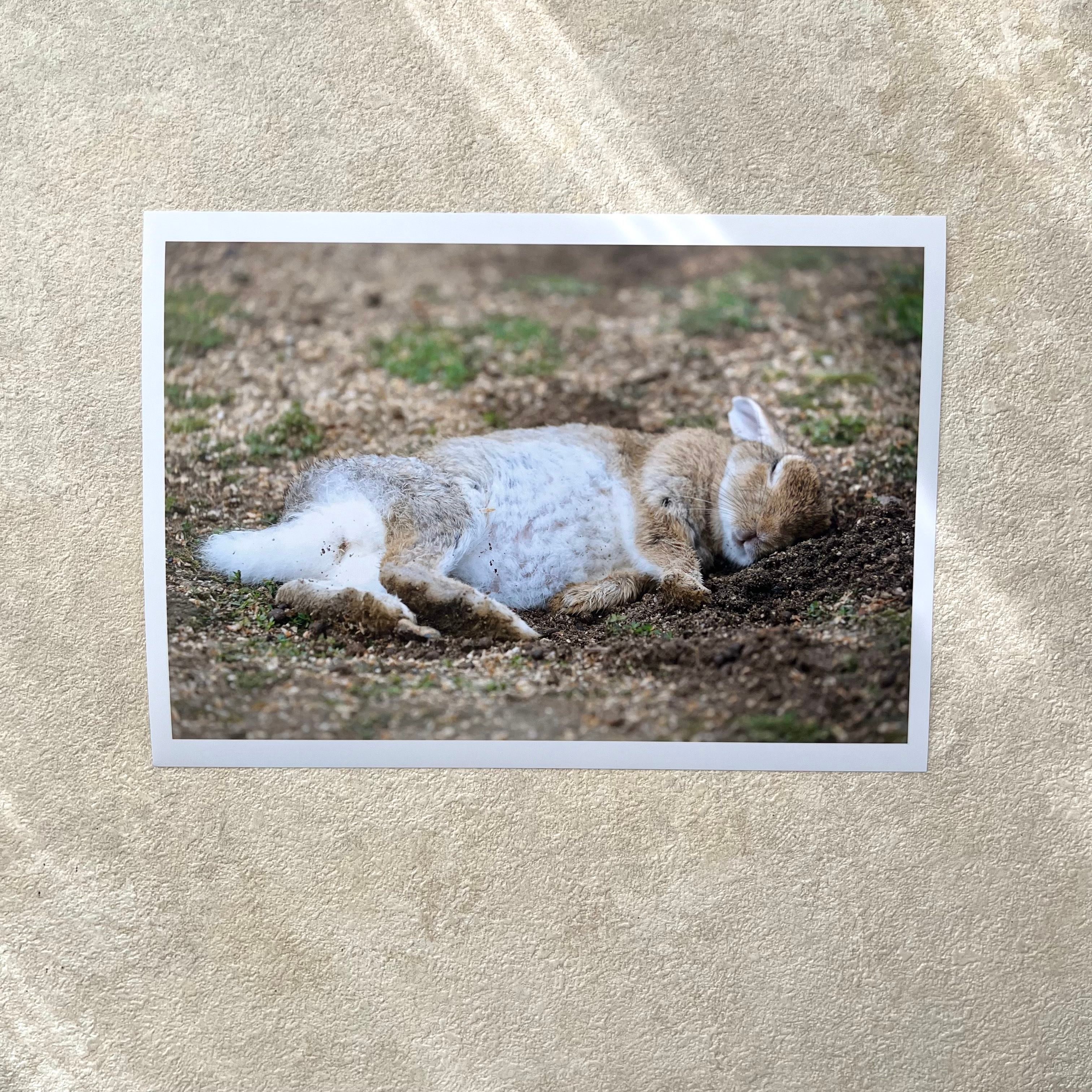 攝影藝術微噴原作 - 《甜夢》 3/50