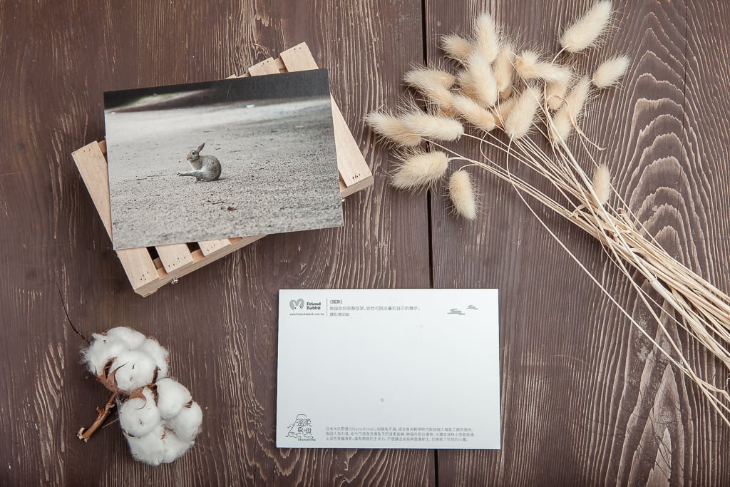 兔子攝影明信片- 《獨舞》