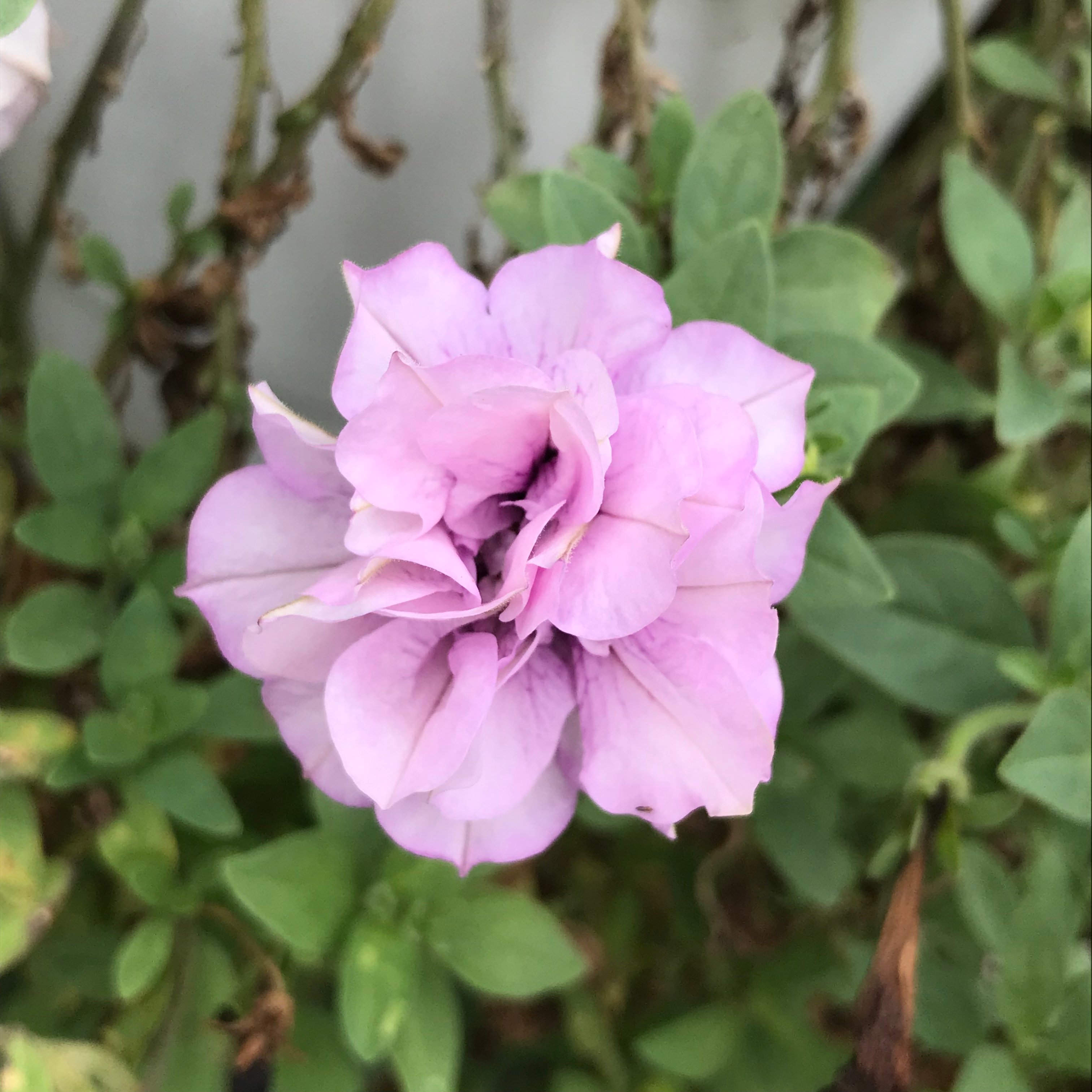 新上架 ❙  書籍