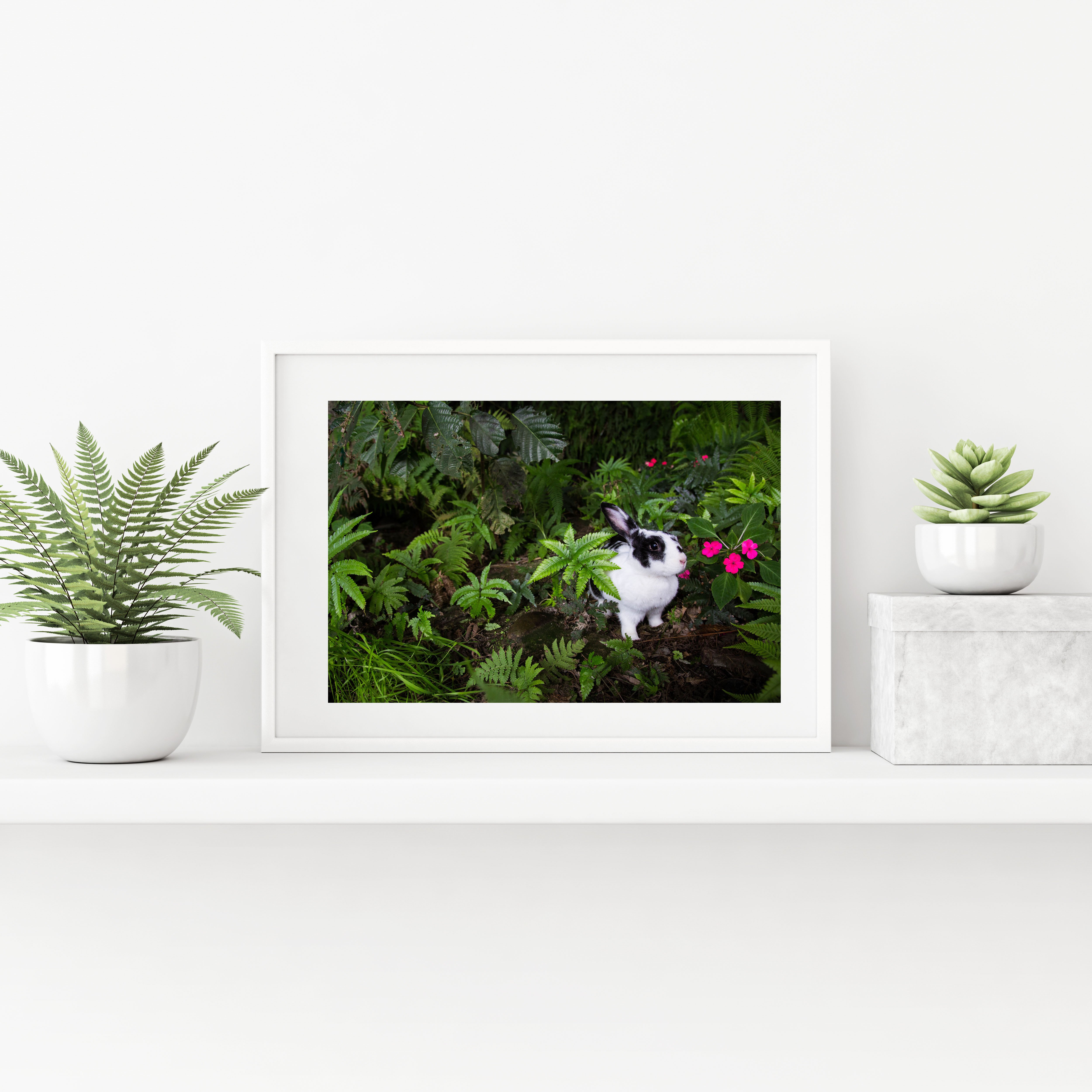 攝影藝術微噴原作 - 《絕美叢林》