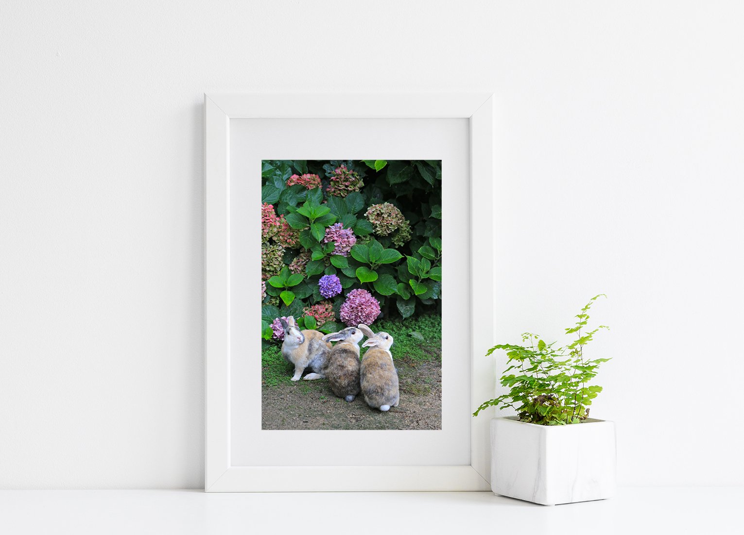 攝影藝術微噴原作 - 《觀望》