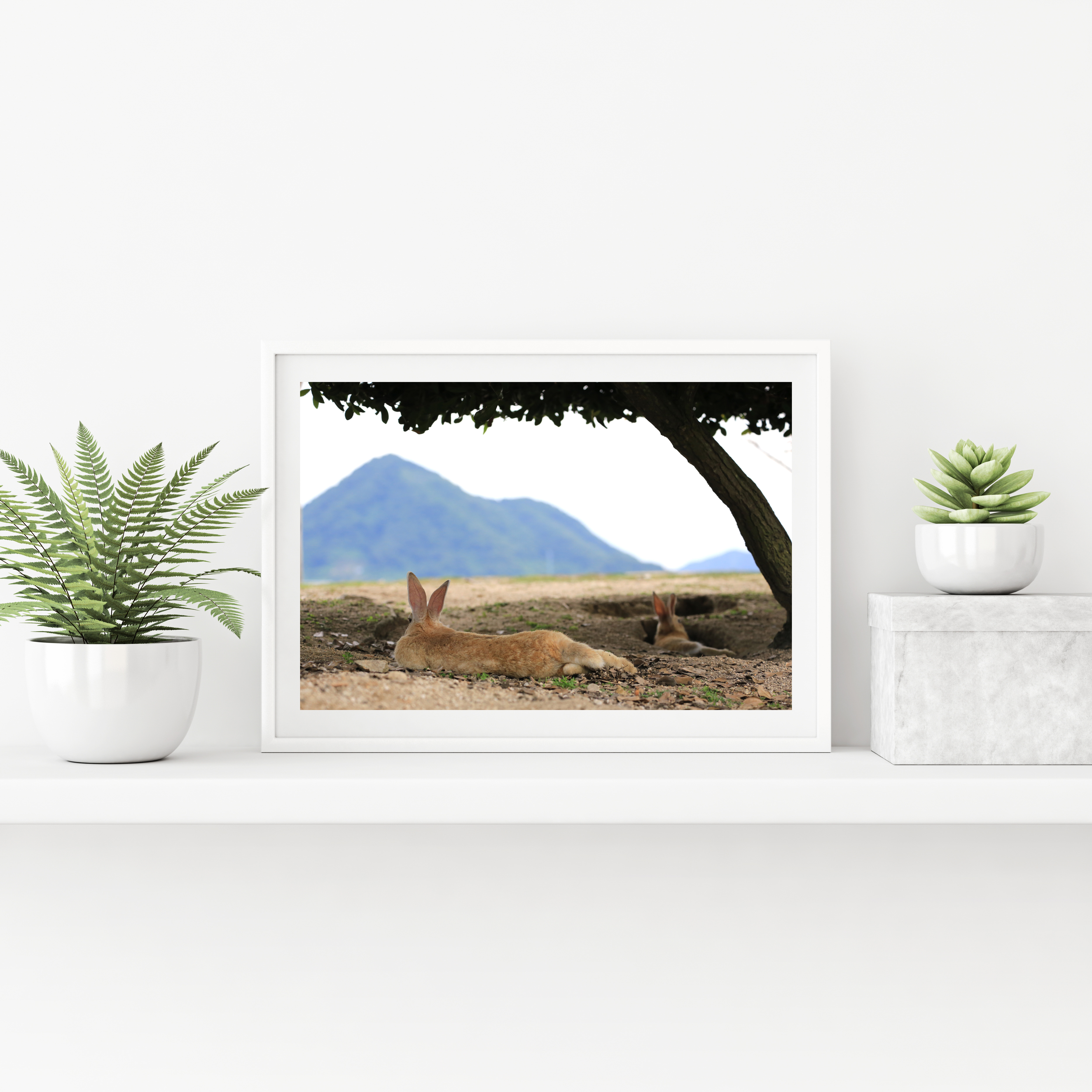 攝影藝術微噴原作 - 《悠然見南山》