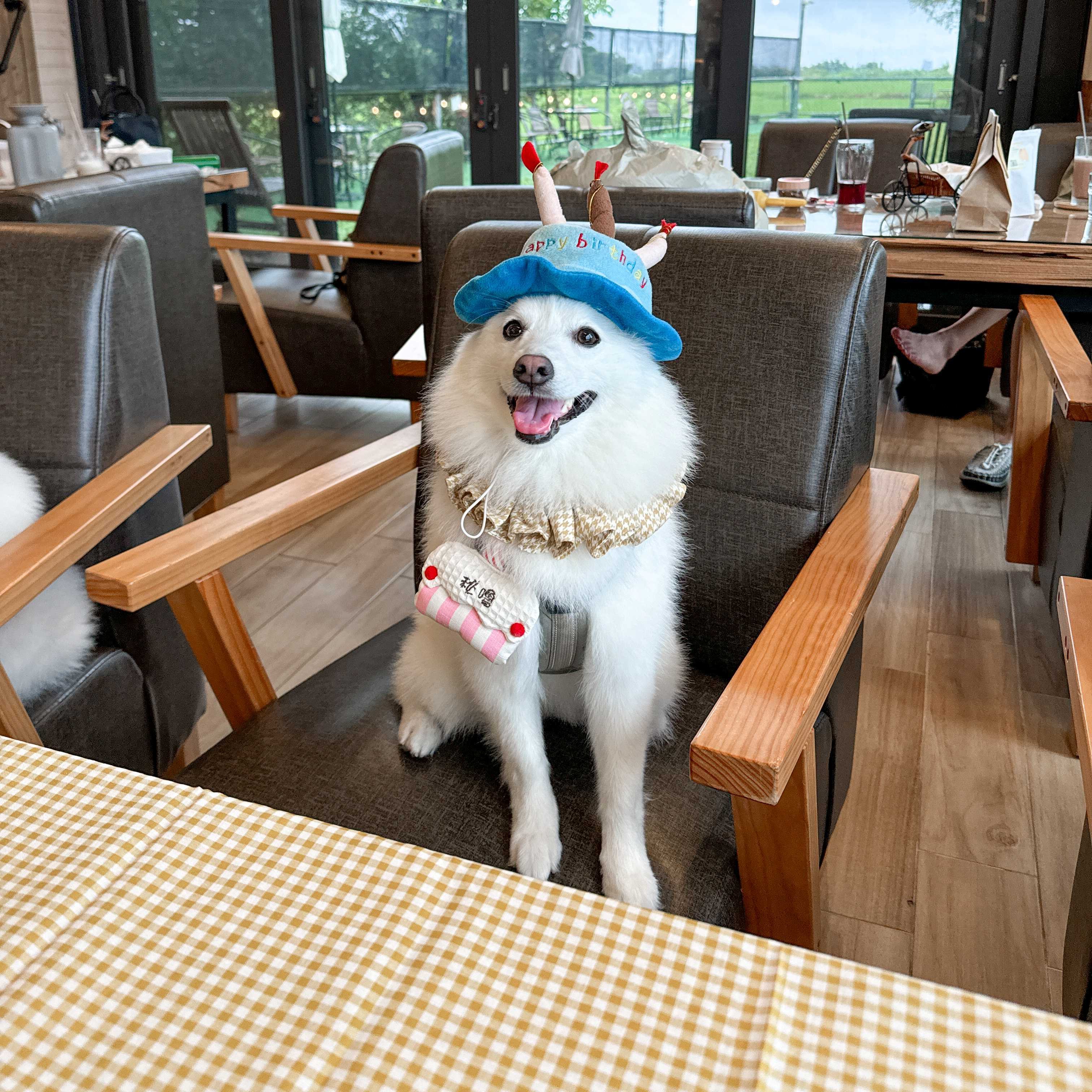 ꒰ 生日蛋糕 ꒱