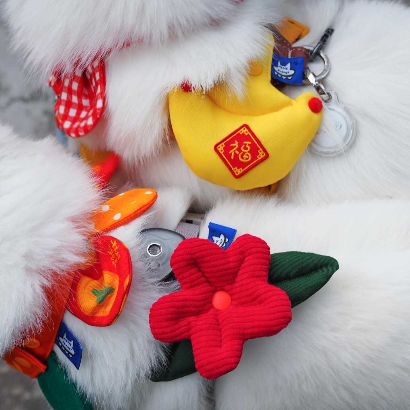 ꒰ 2024新年限定 ꒱