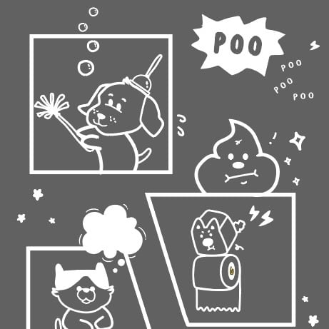 ꒰ 秘秘撿便袋 ꒱