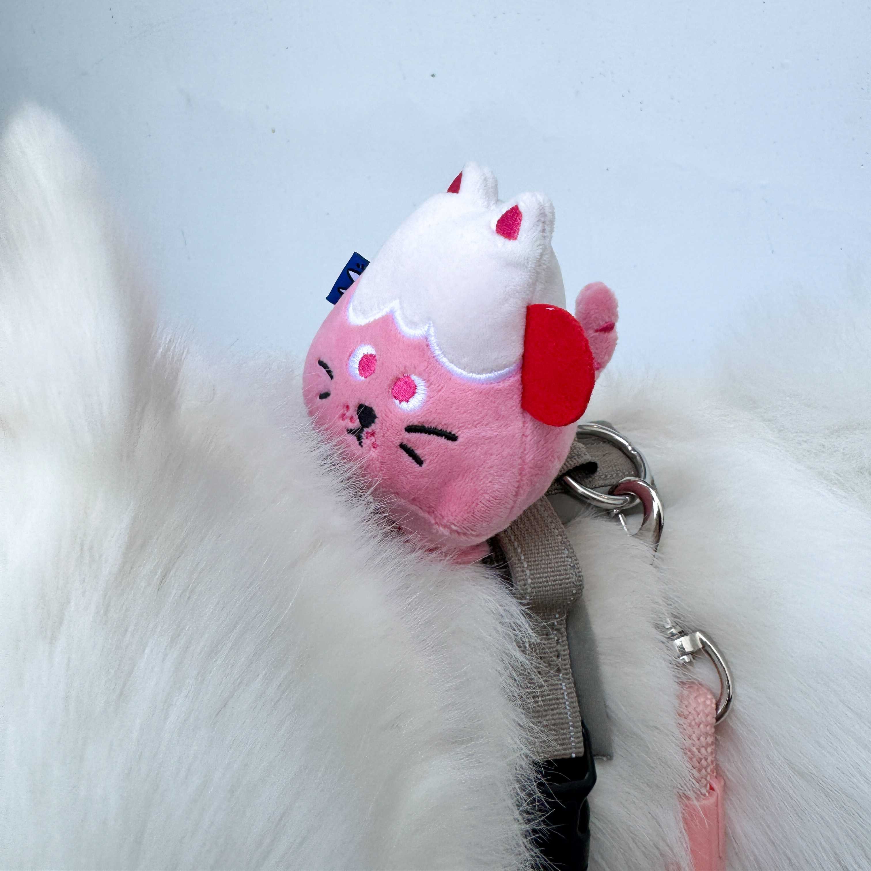 ꒰ 富士小貓 FUNI 芙妮 ꒱