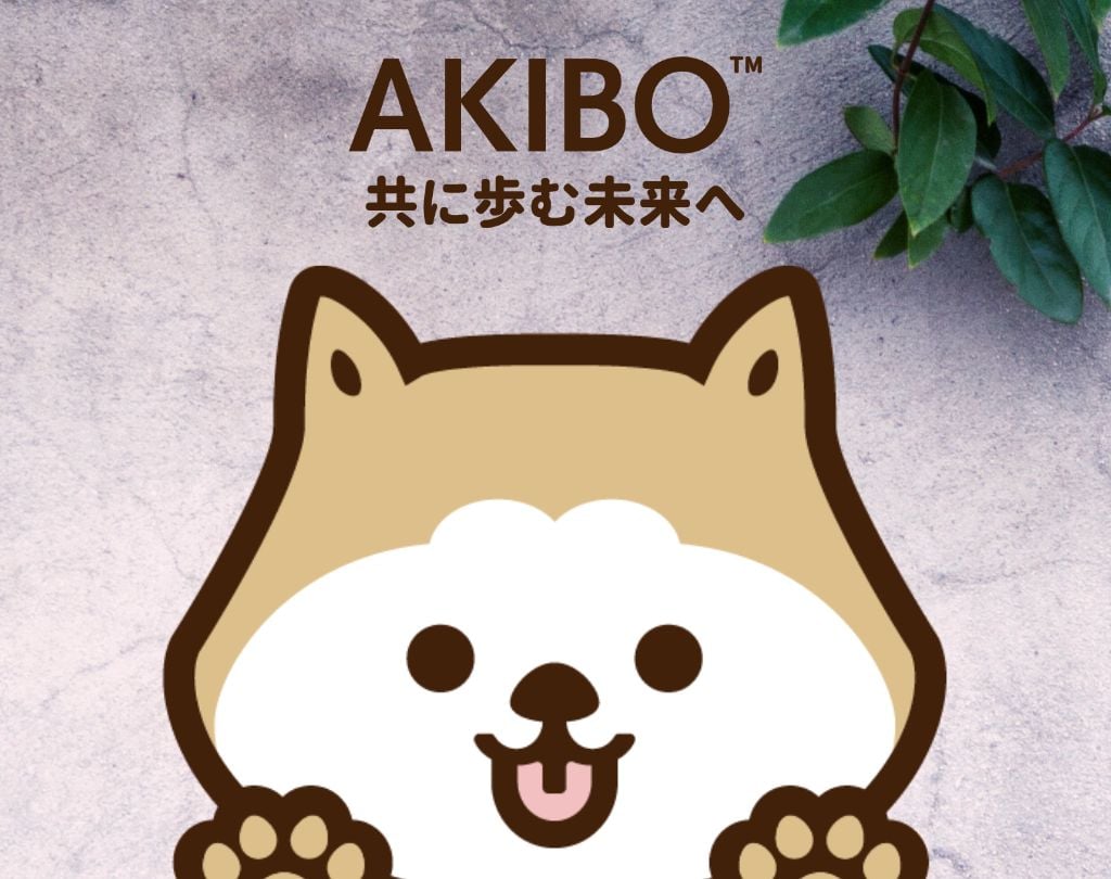 探索AKIBO的每一步都充滿風格