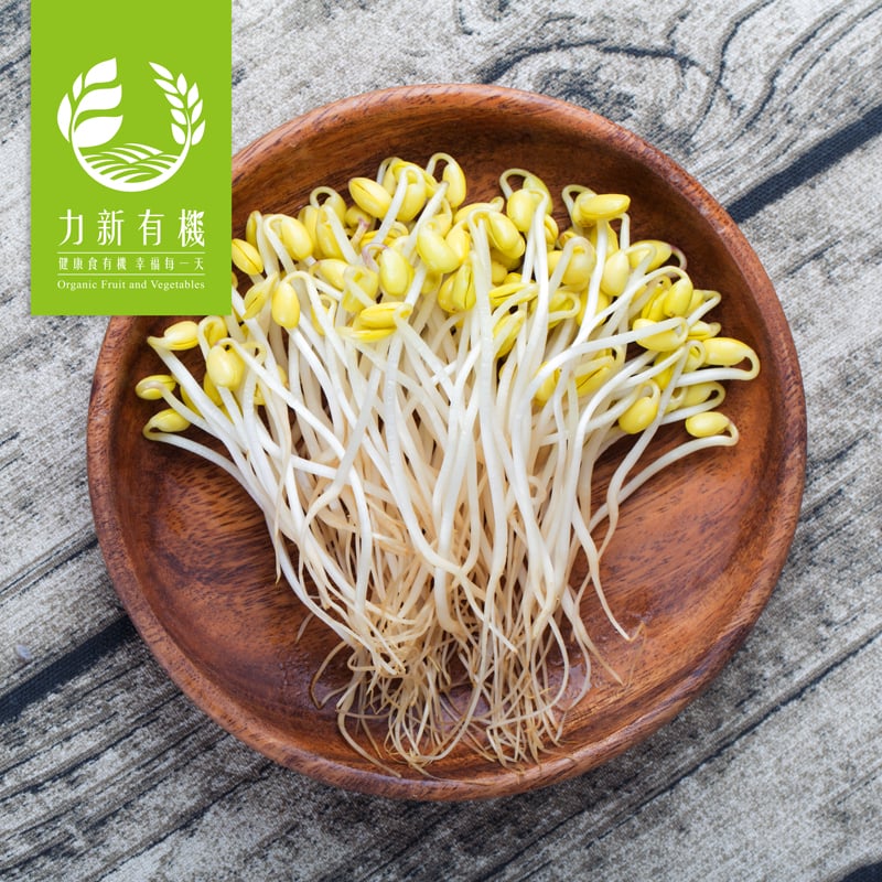 有機黃豆芽 160g/盒｜脆嫩爽口｜無農藥安心栽培