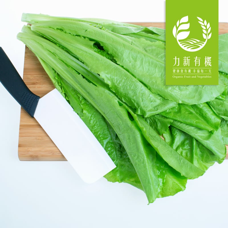 有機本島萵苣 | 爽脆多汁 生菜沙拉必備 清甜耐放 好料理