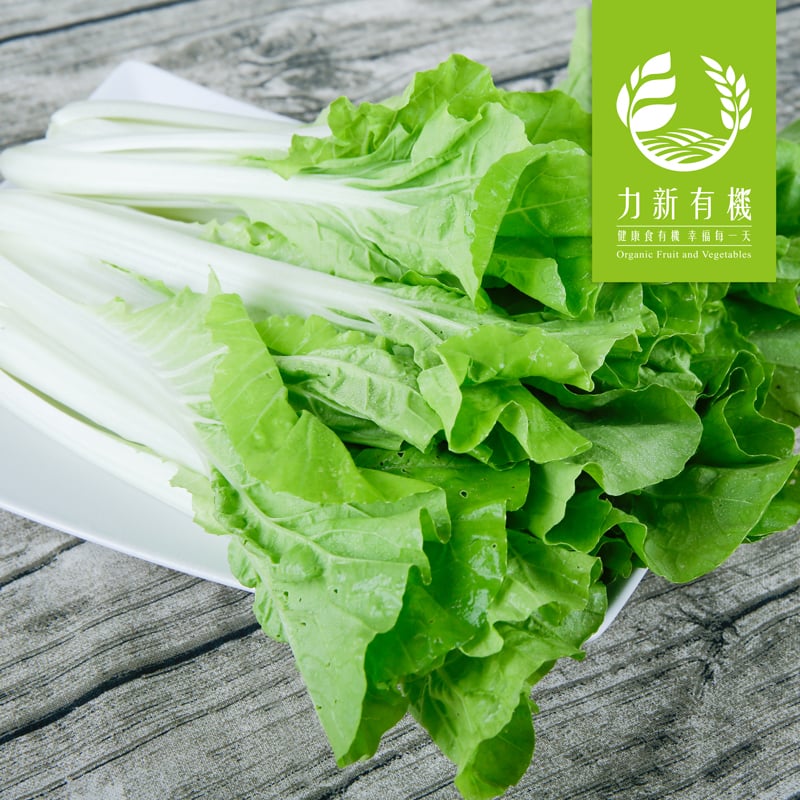 有機荷葉白菜 250g｜葉嫩水分高 口感清爽不苦澀 快炒火鍋都適用