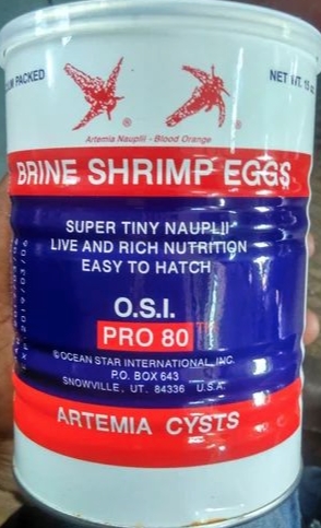 美國3A原裝進口OSl 豐年蝦卵