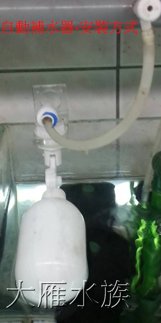 自動補水器-二分口徑