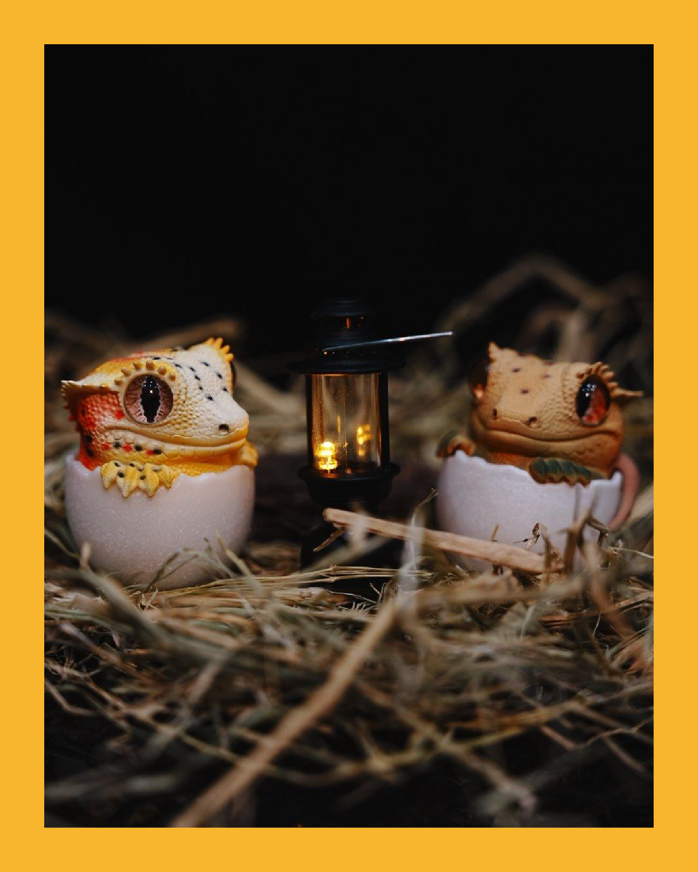 【搗搗蛋】守宮不倒蛋