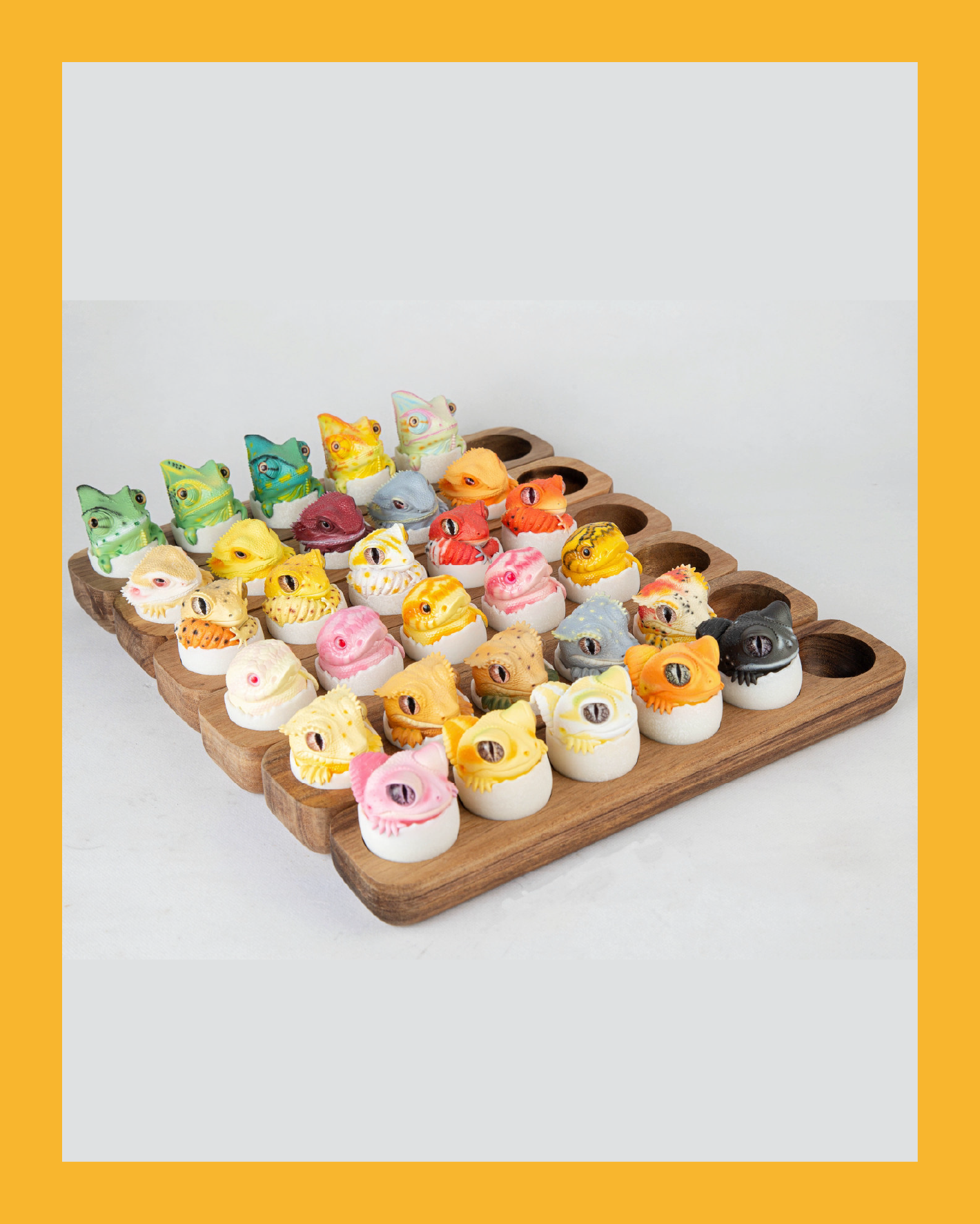 【搗搗蛋】木頭展示架 (可放6隻)