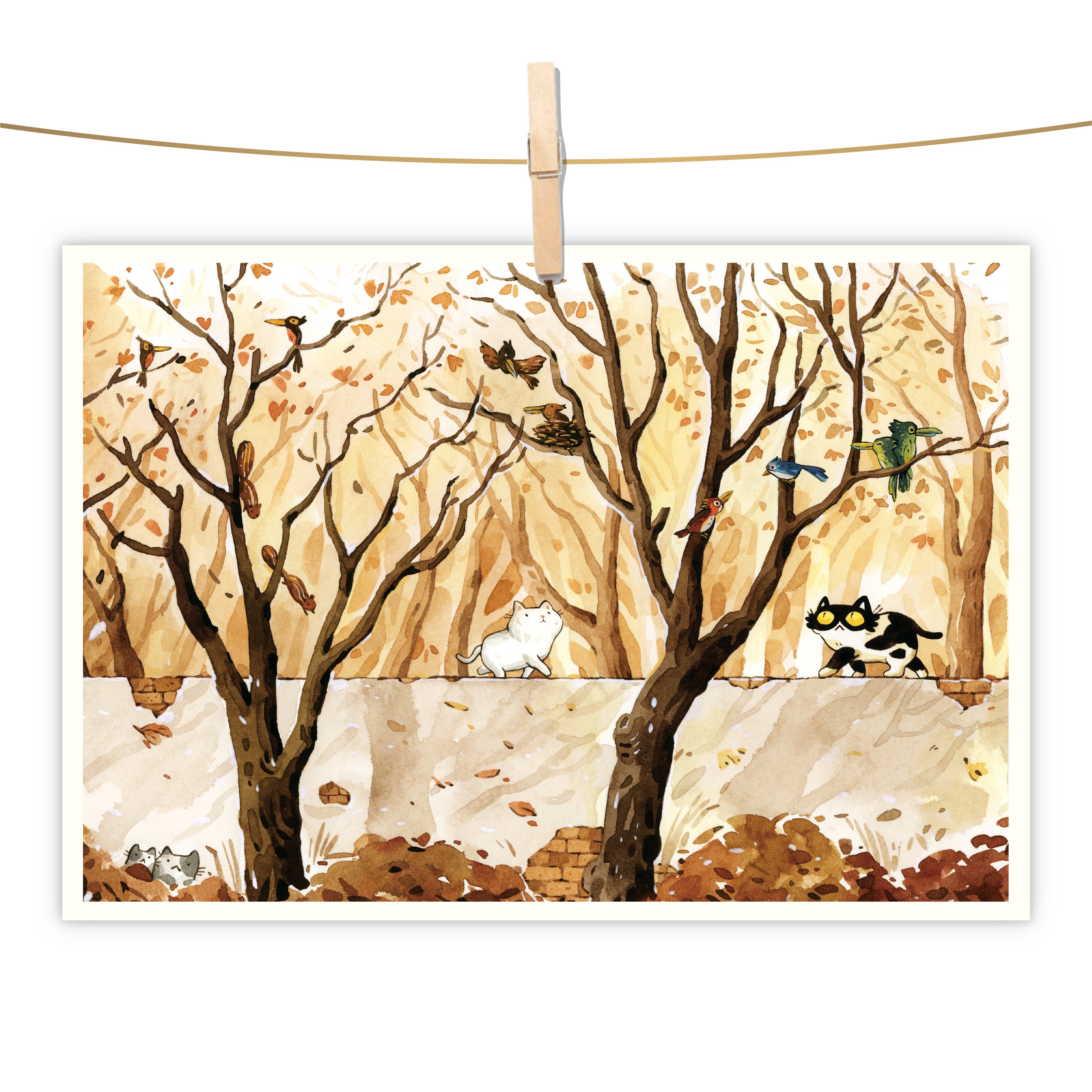 明信片 - 剛好遇見你