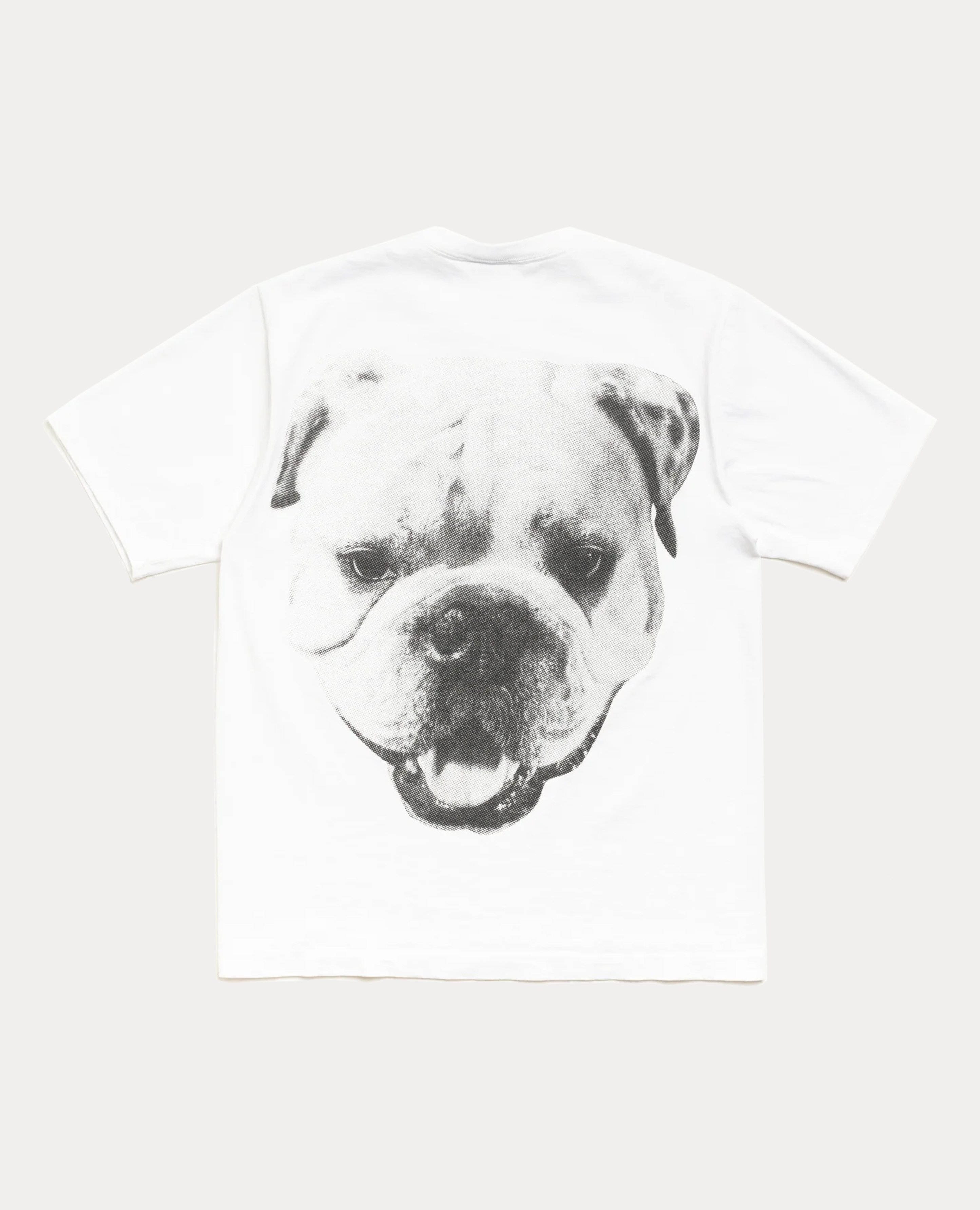 Stüssy Big Dog Stone Washed Tee
