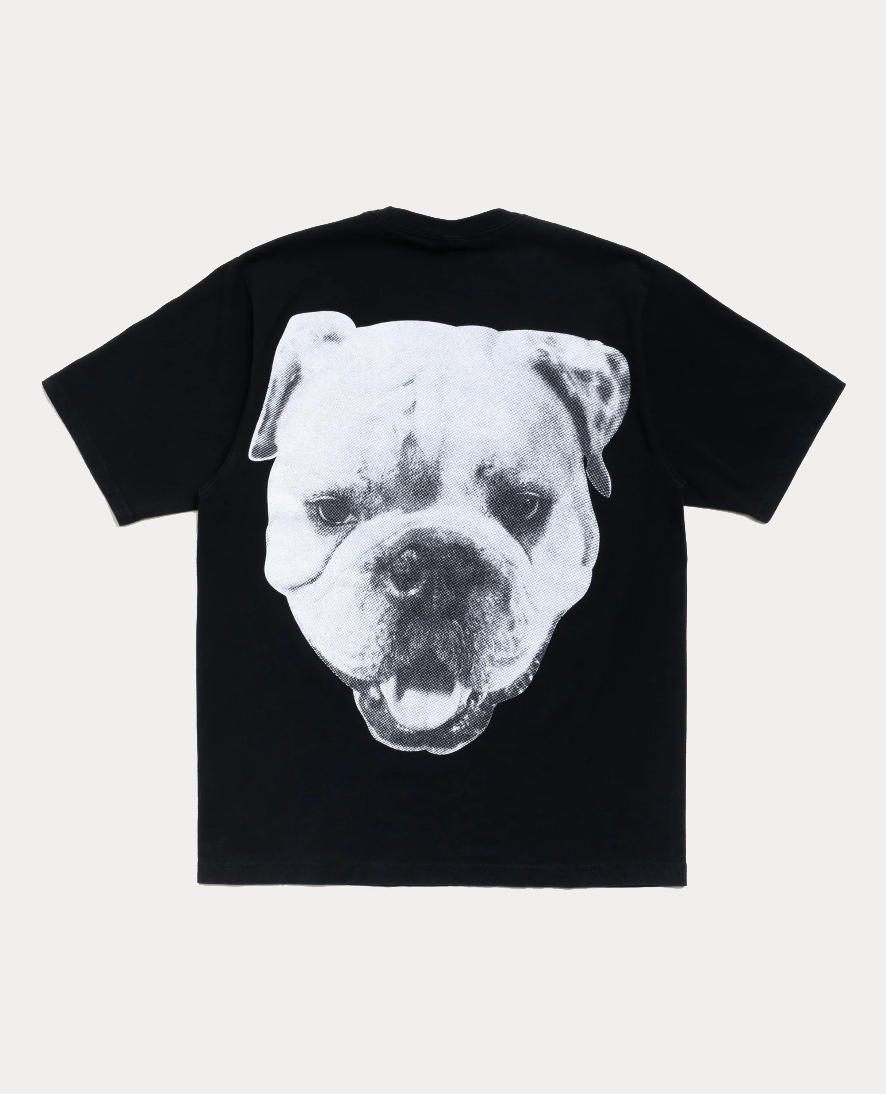 Stüssy Big Dog Stone Washed Tee