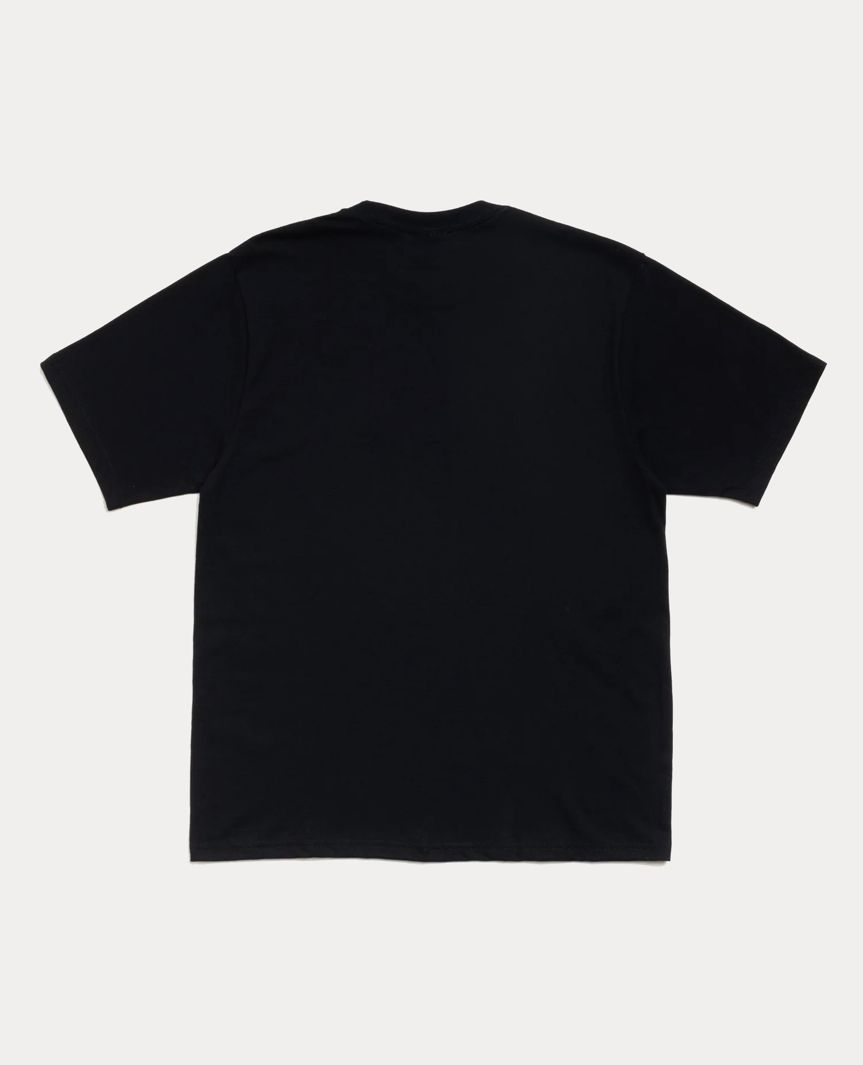 Stüssy Citrus Tee