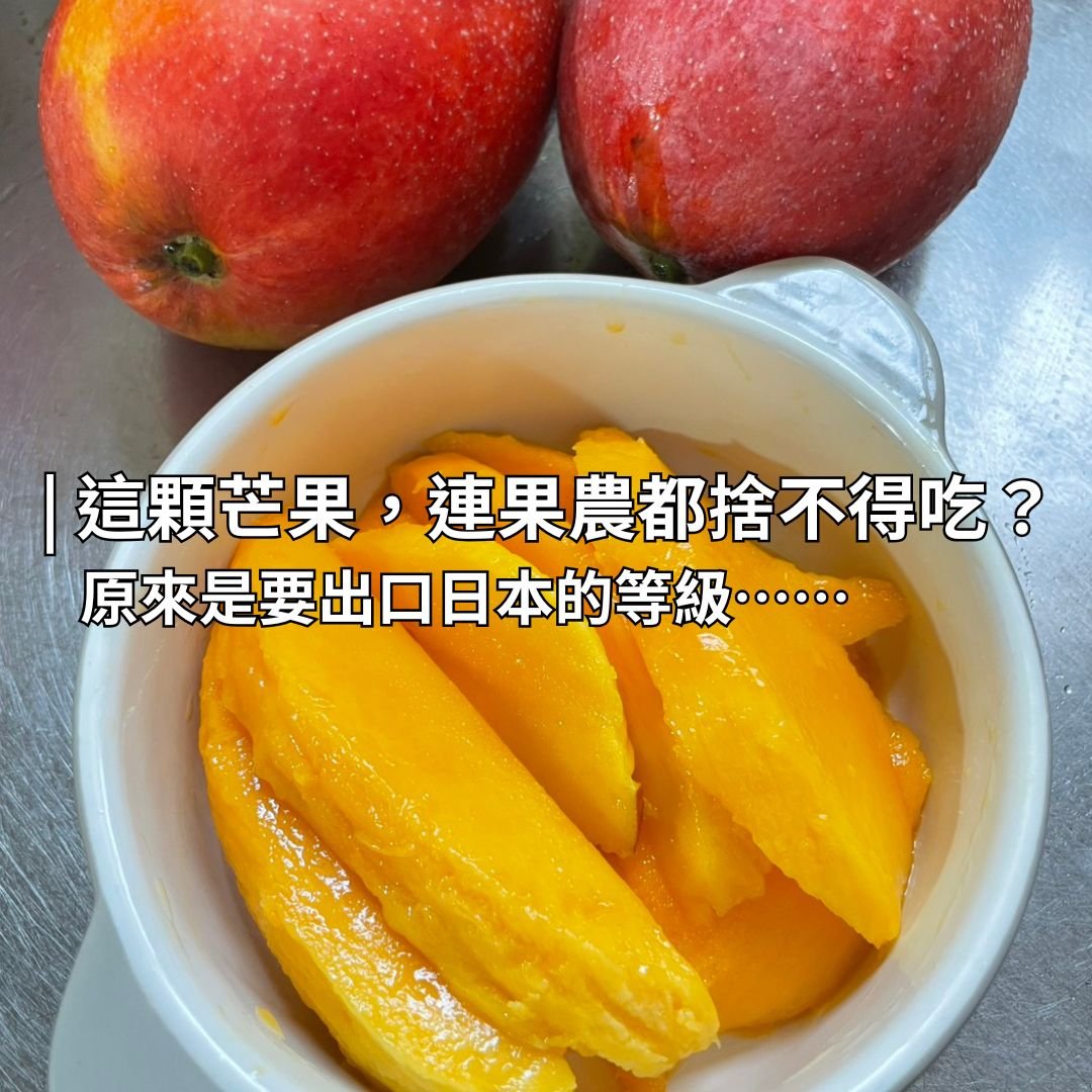 這顆芒果，連果農都捨不得吃？