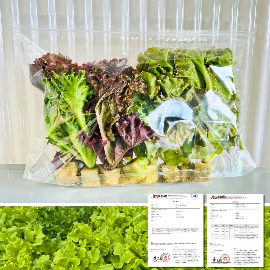 歐式綜合生菜10包組 (230g±5g/包)