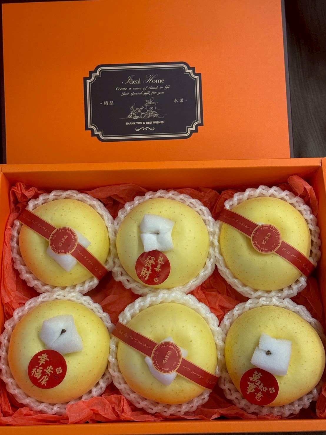 日本金星富士禮盒