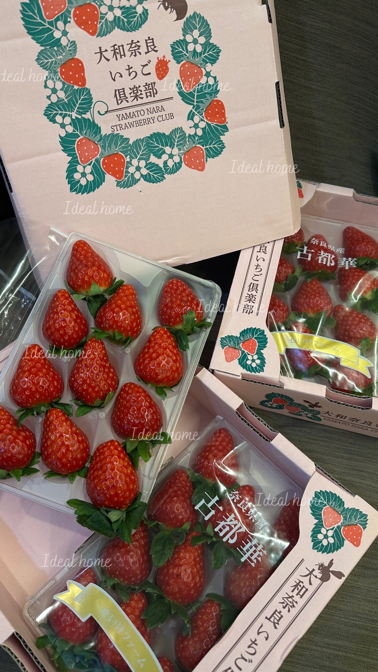 日本古都華草莓