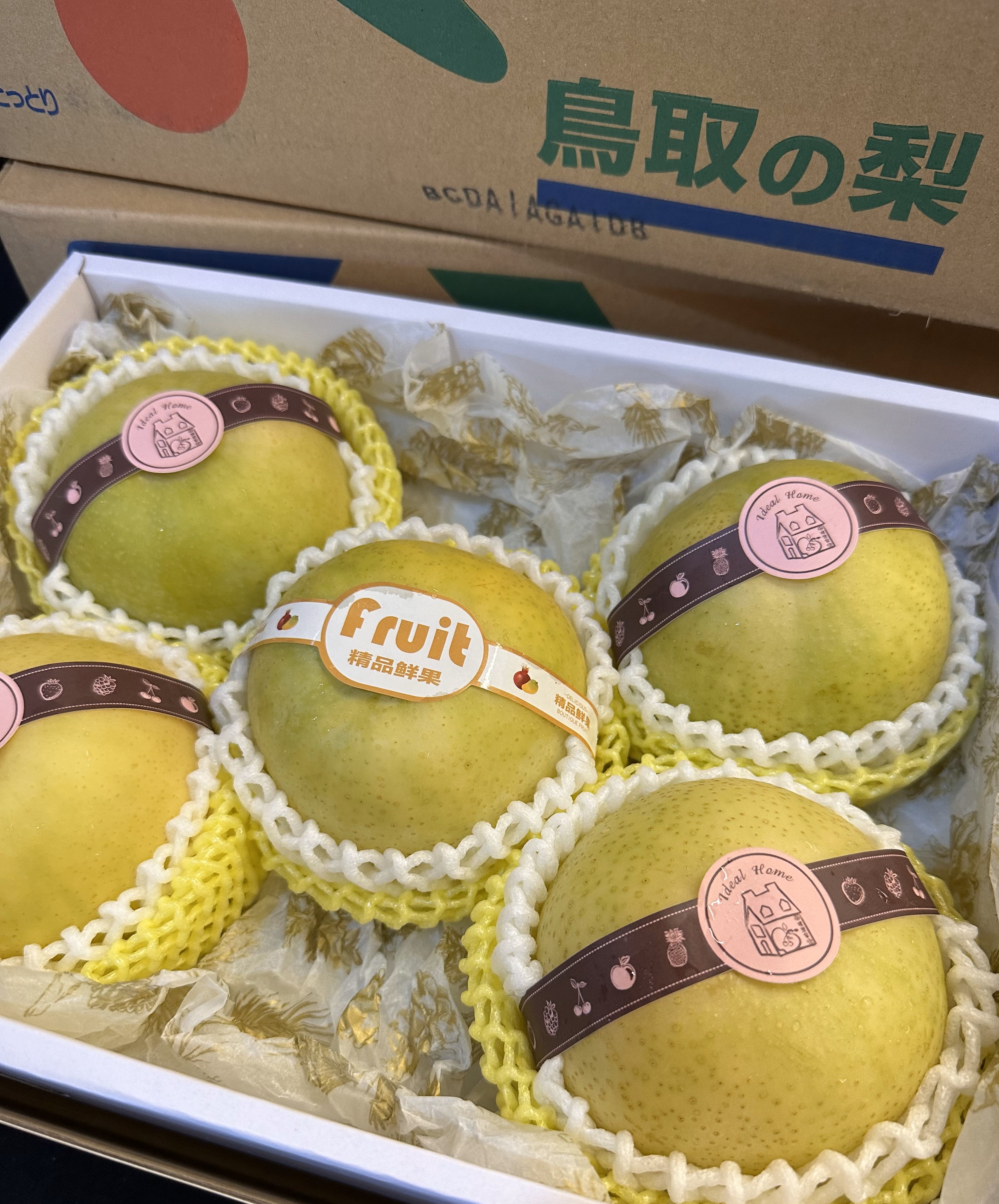日本進口二十世紀梨【鳥取梨】