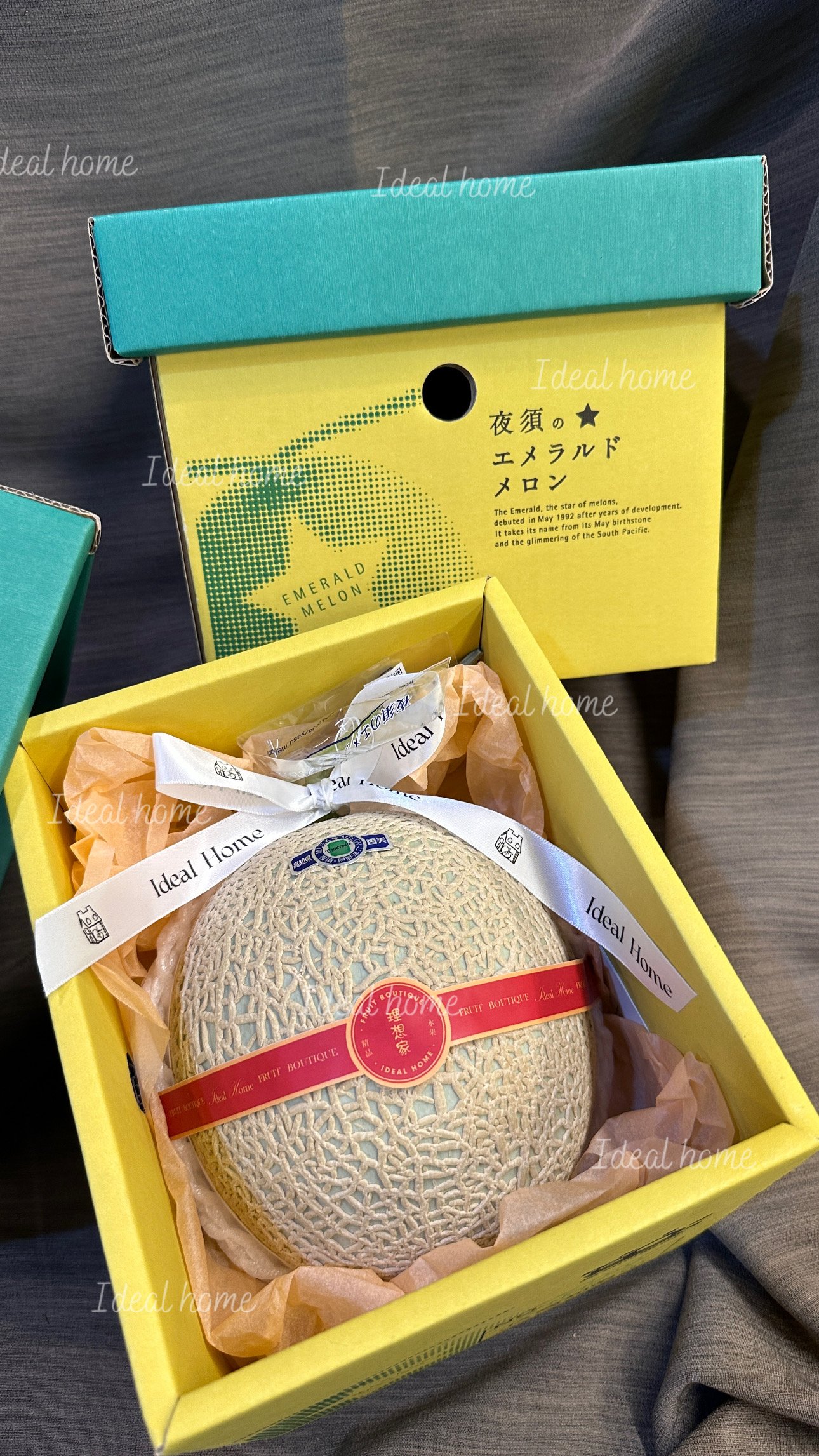 日本溫室哈密瓜