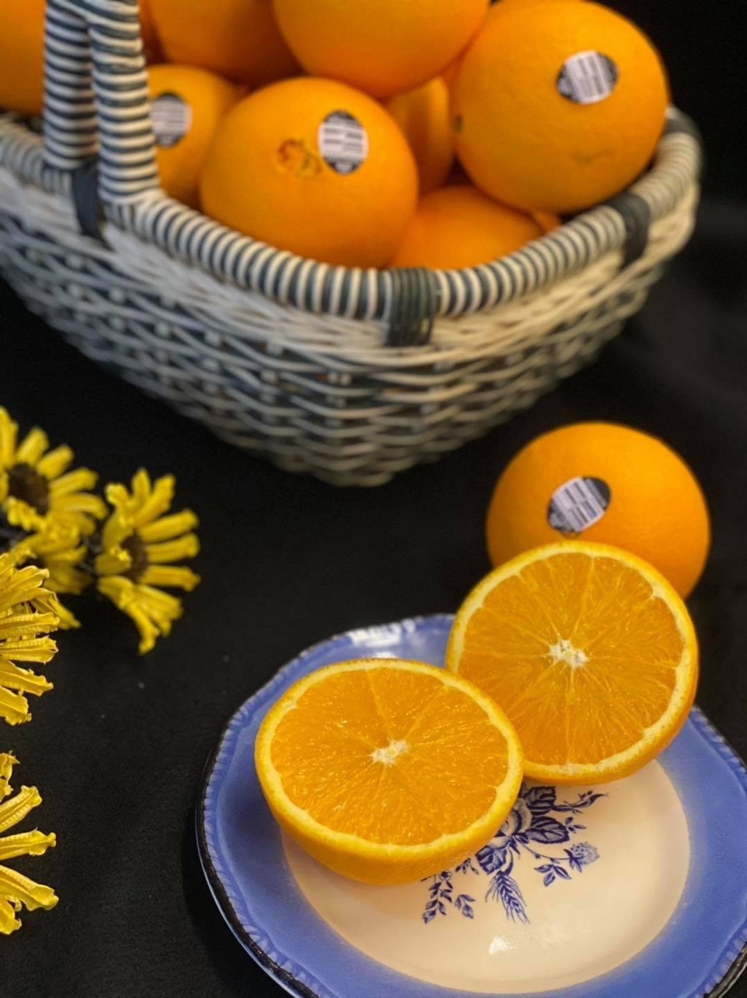 美國加州肚臍丁