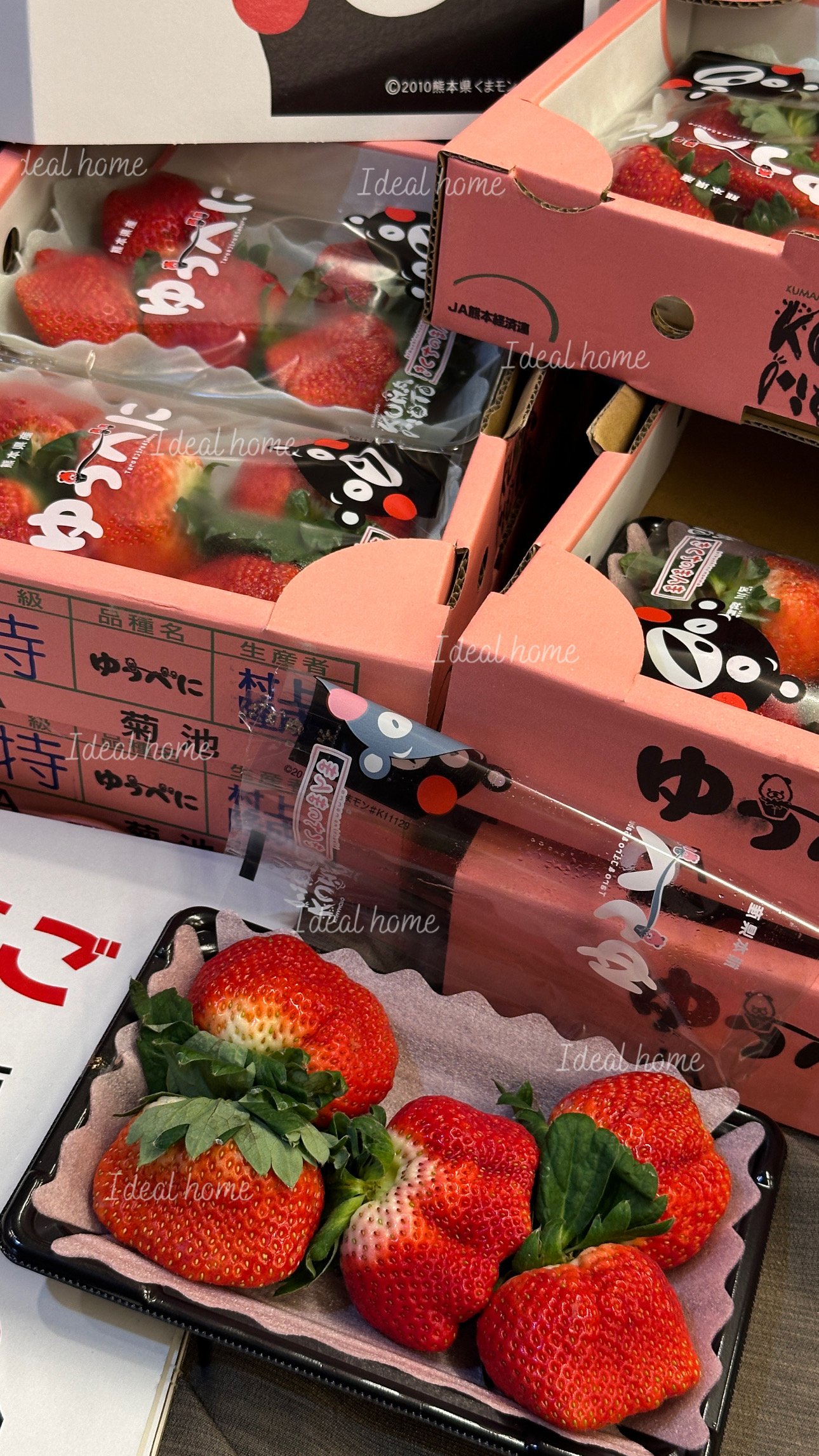 日本草莓◆佐賀/長崎/靜岡/熊本◆