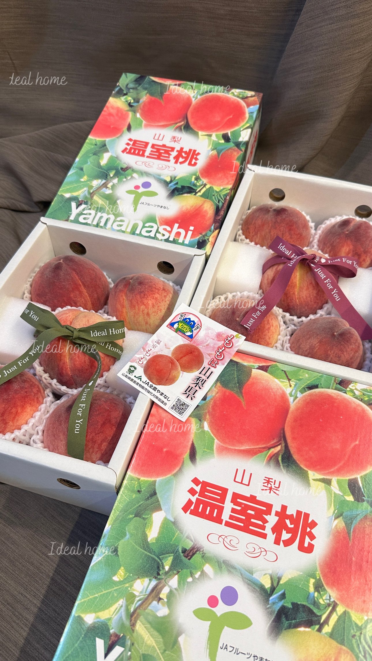 日本山梨溫室桃