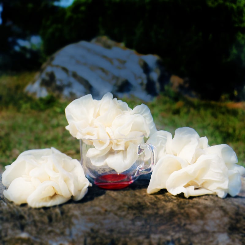 有機雪珍白木耳(冷凍)600G