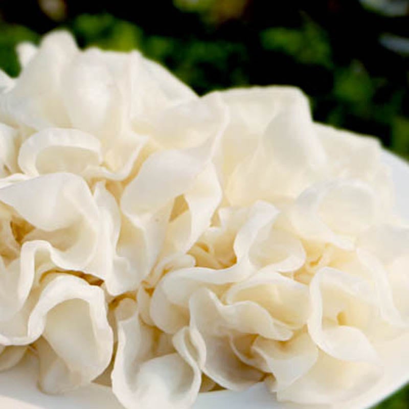 川燙雪珍白木耳