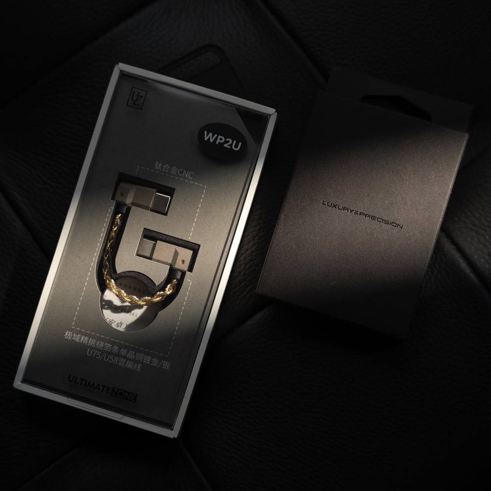 Luxury & Precision(精奢樂彼) WP2U L型接頭 Type C USB DAC 小尾巴 升級線