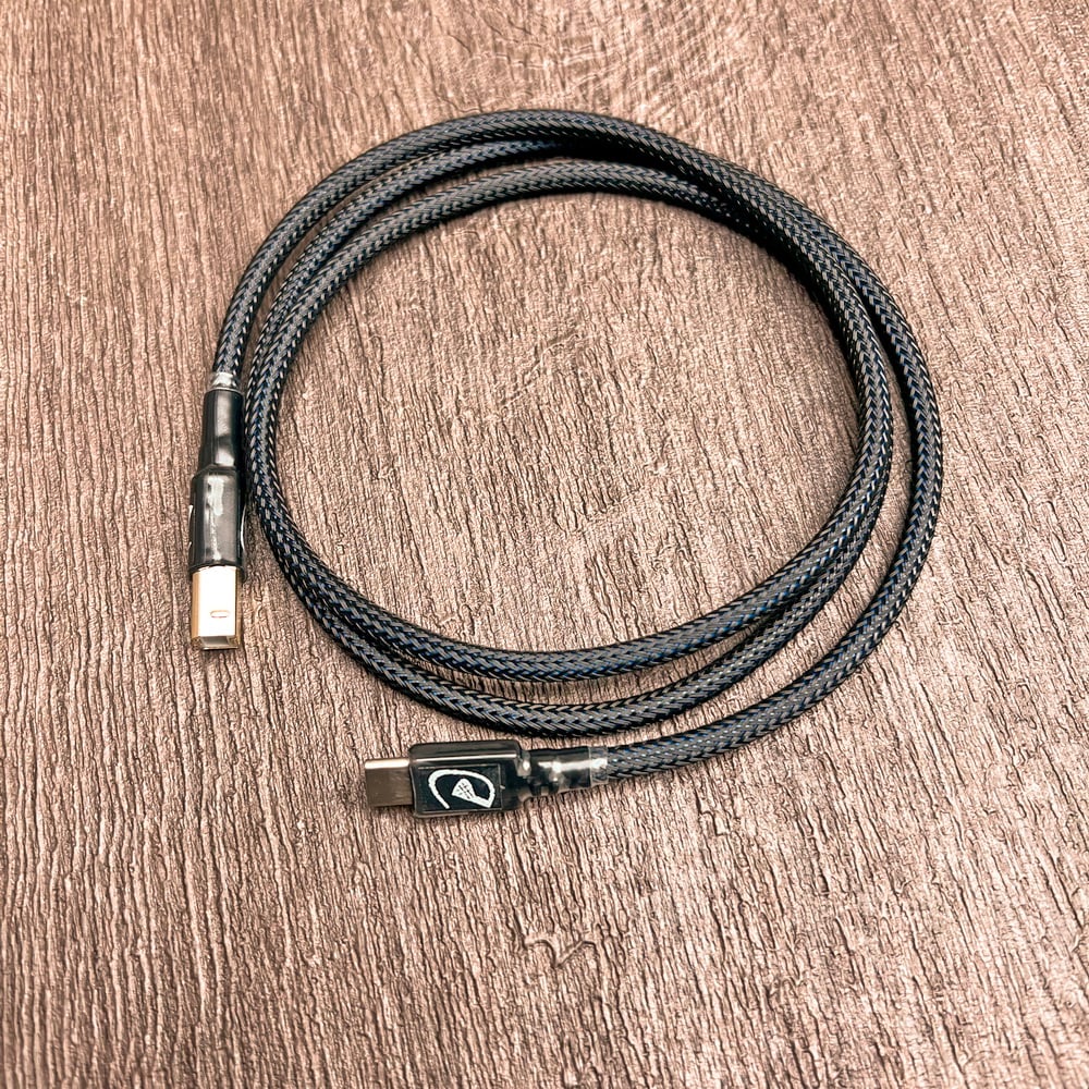 大力揚 Power Praise 日本鐵三角 Audio-Technica DL037 TYPE-C 公頭 OTG 轉接 TYPE A 公頭