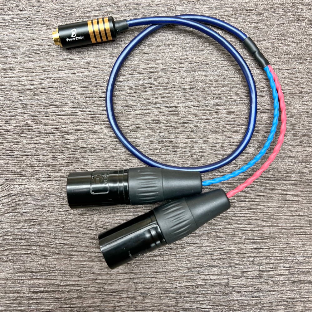 大力揚 Power Praise 日本鐵三角 Audio-Technica CAB183 平衡 XLR公 轉 4.4MM平衡母 轉接線