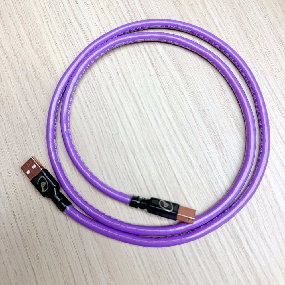 大力揚 × 日本鐵三角 DL092 PP-UH4040-GT7D Type-A 轉 Type-B USB 數位訊號線｜四芯混合導體結構